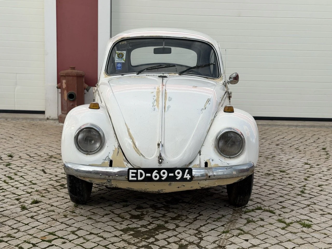 IMG_8620 – grande.jpeg