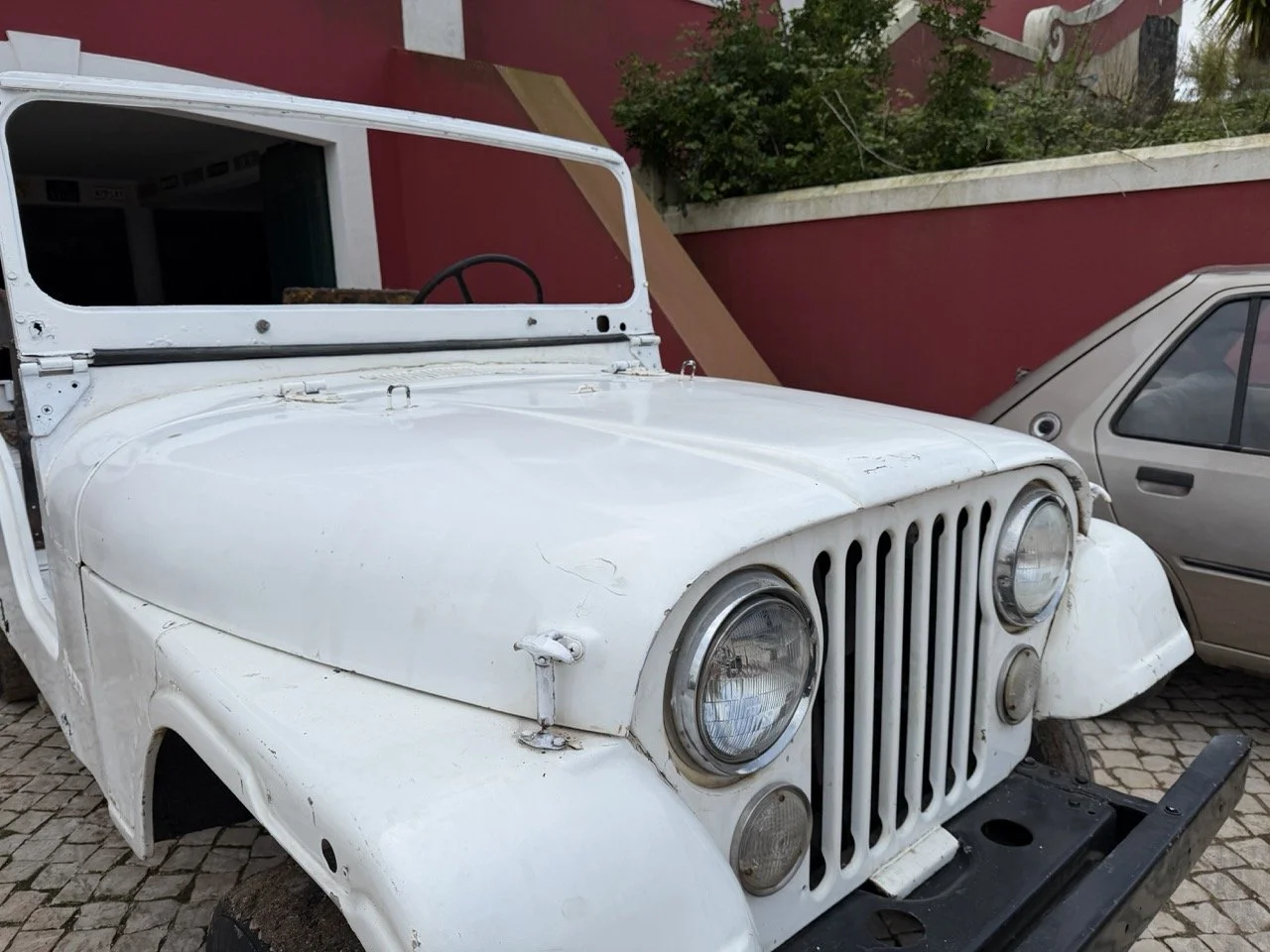 IMG_3916 – grande.jpeg