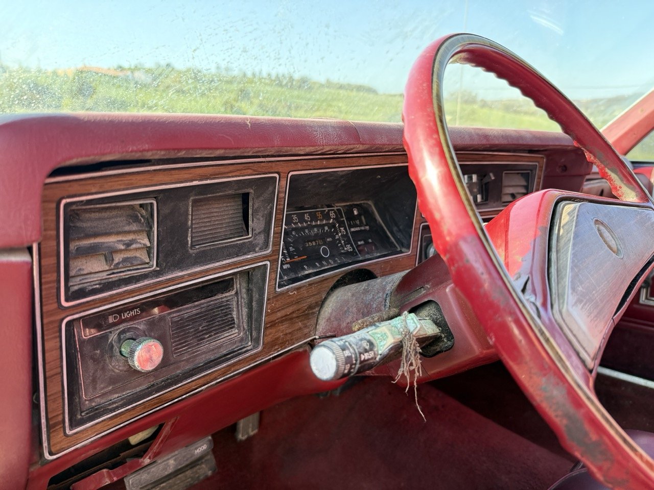 IMG_3016 – grande.jpeg