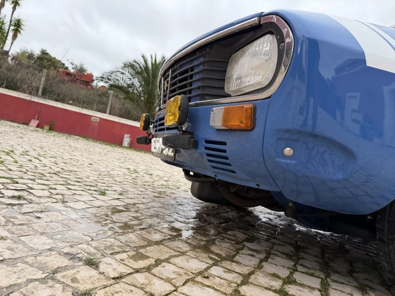 IMG_6104 – grande.jpeg