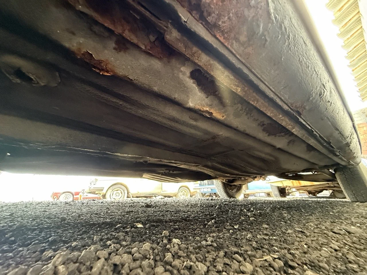 IMG_0619 – grande.jpeg