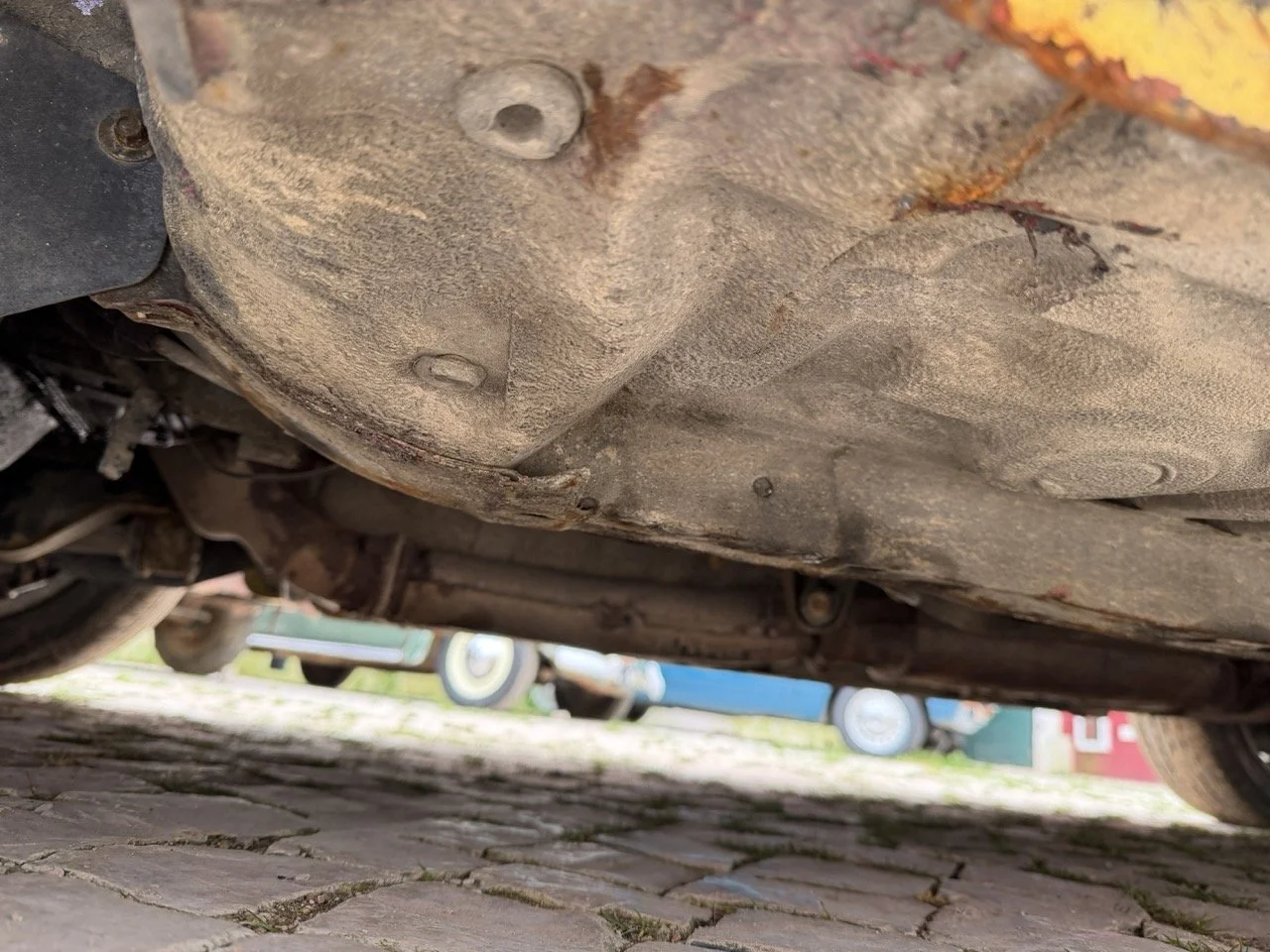 IMG_9801 – grande.jpeg