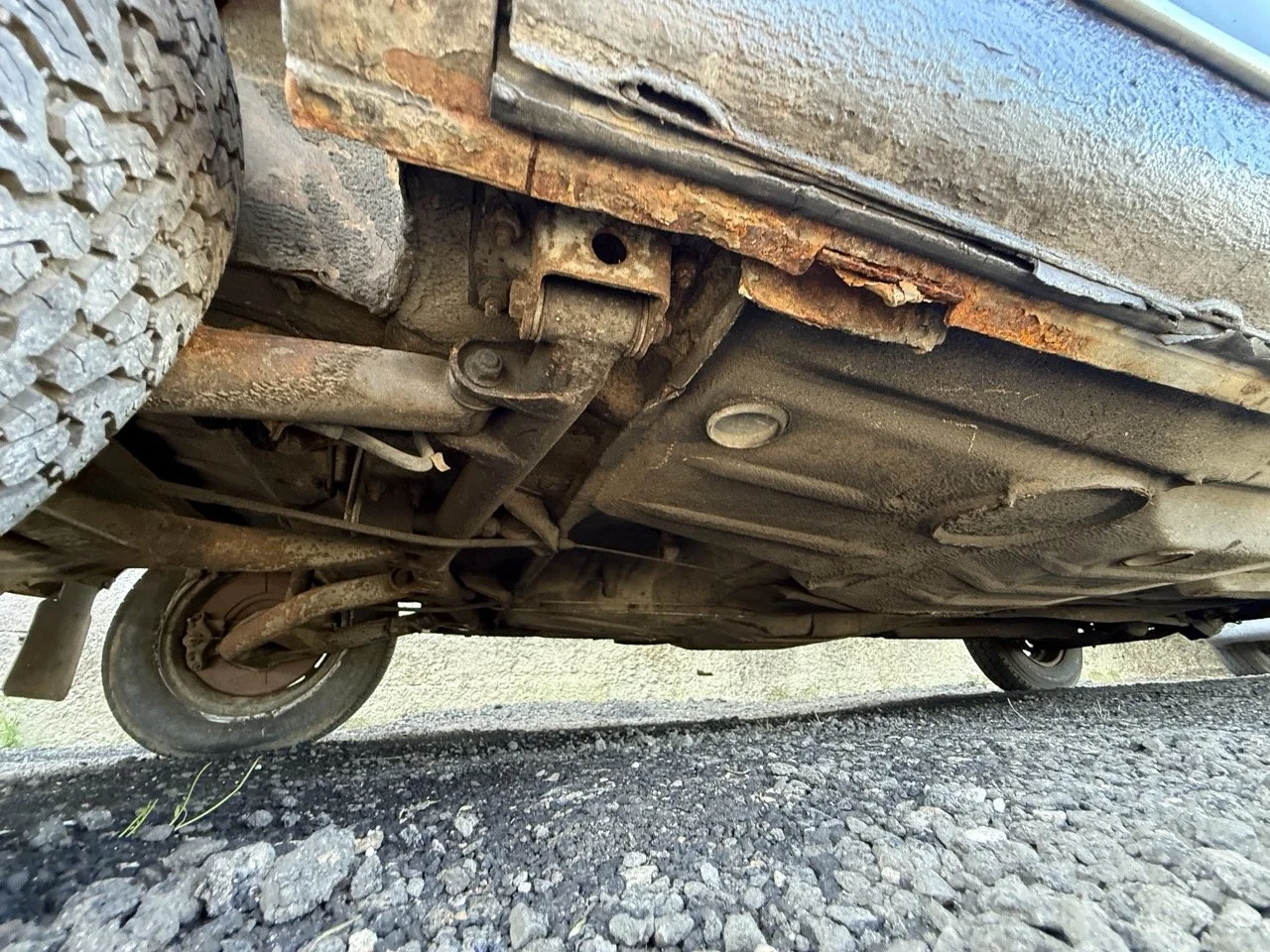 IMG_0626 – grande.jpeg