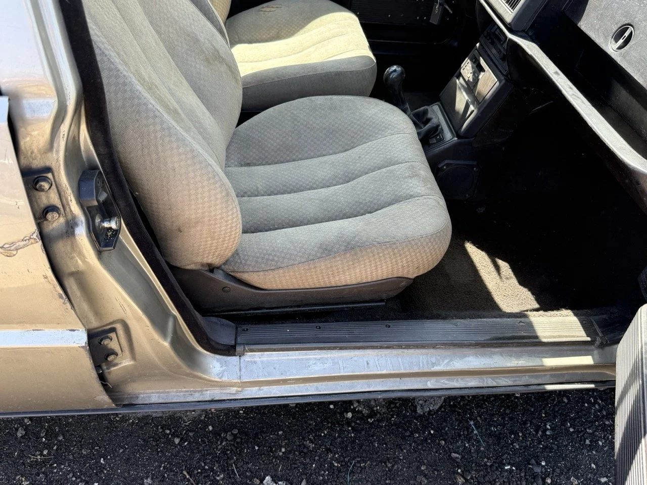 IMG_1945 – grande.jpeg