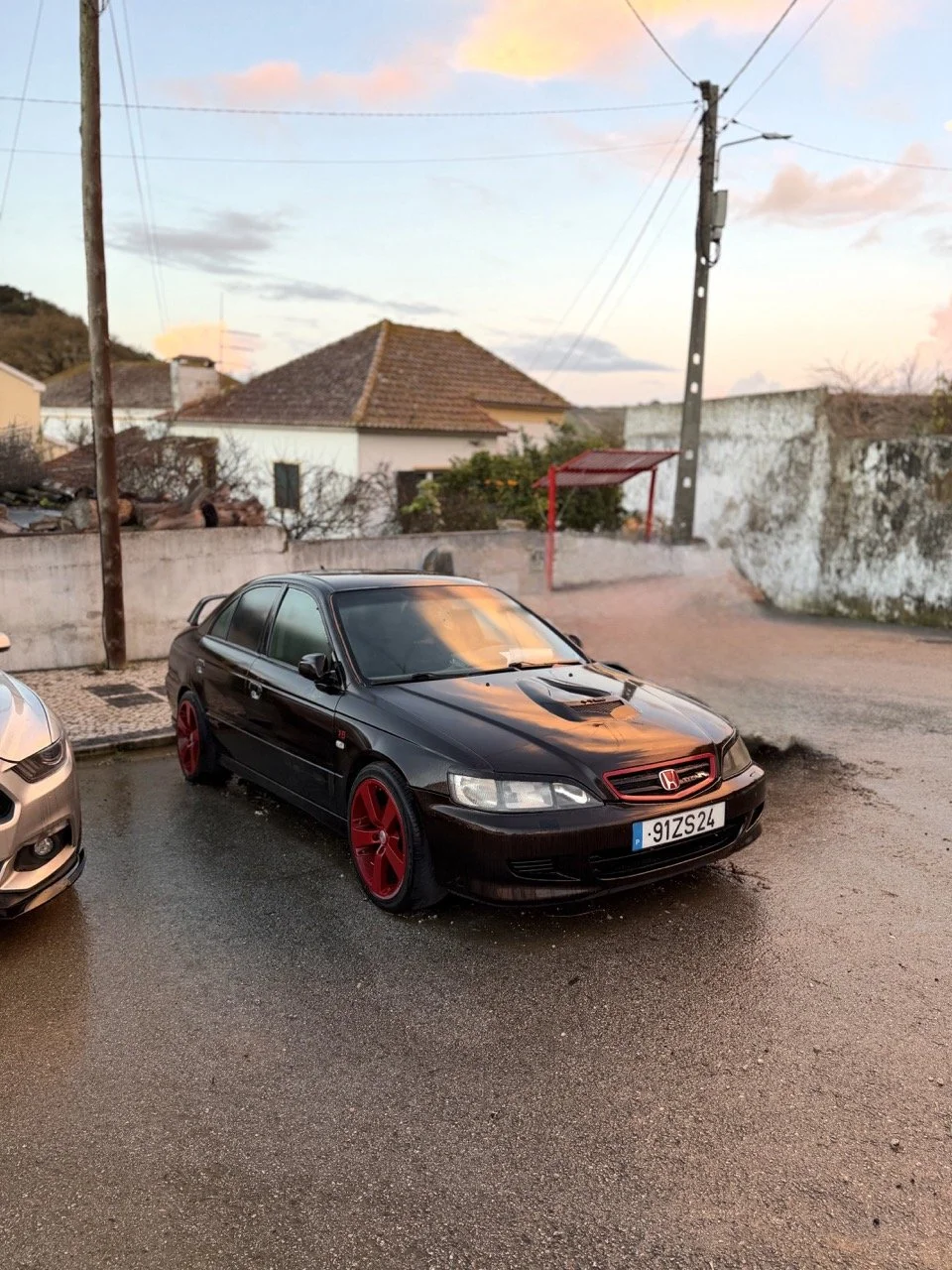 IMG_3728 – grande.jpeg