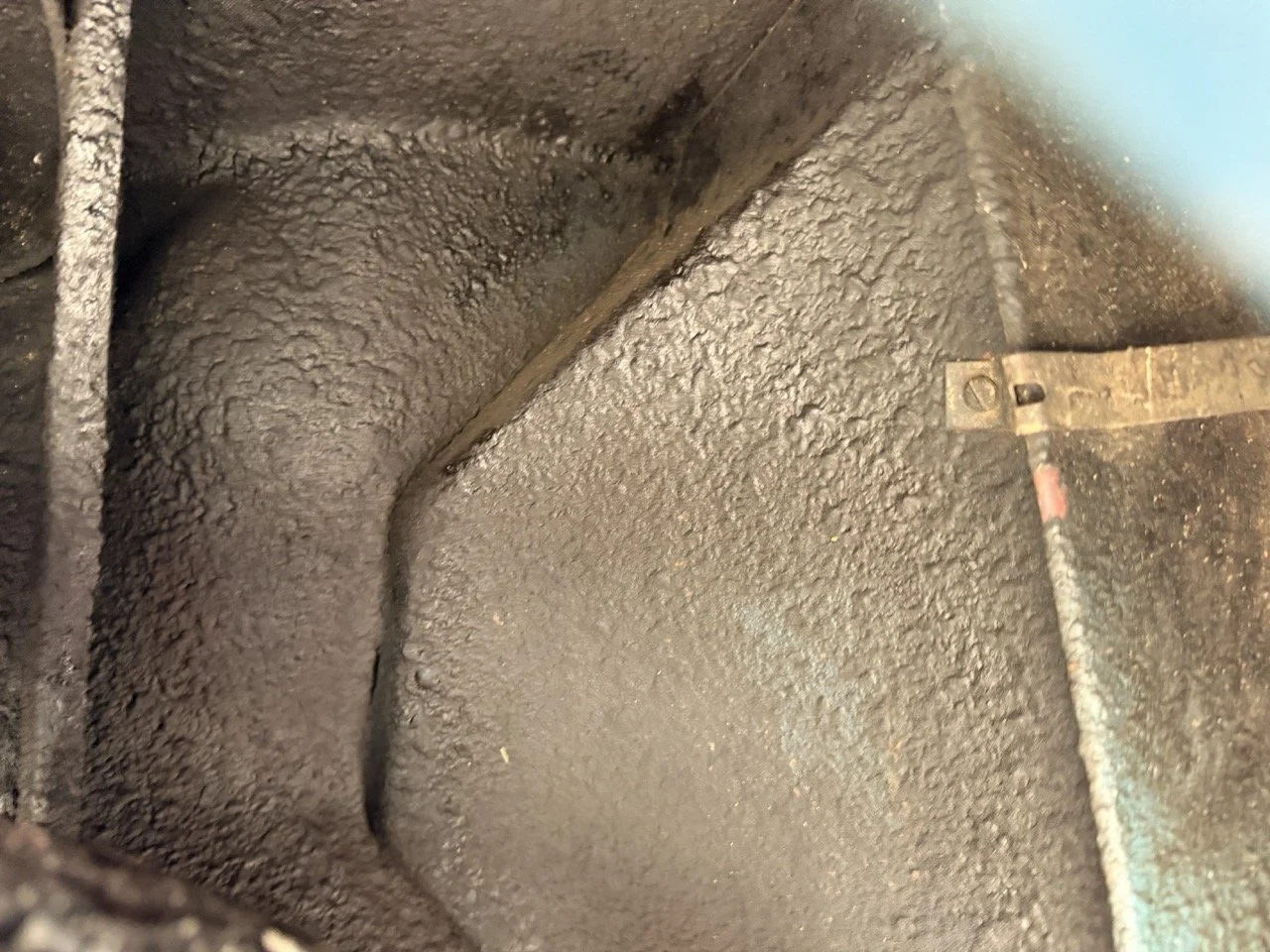 IMG_6357 – grande.jpeg