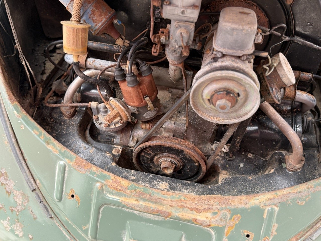 IMG_1167 – grande.jpeg