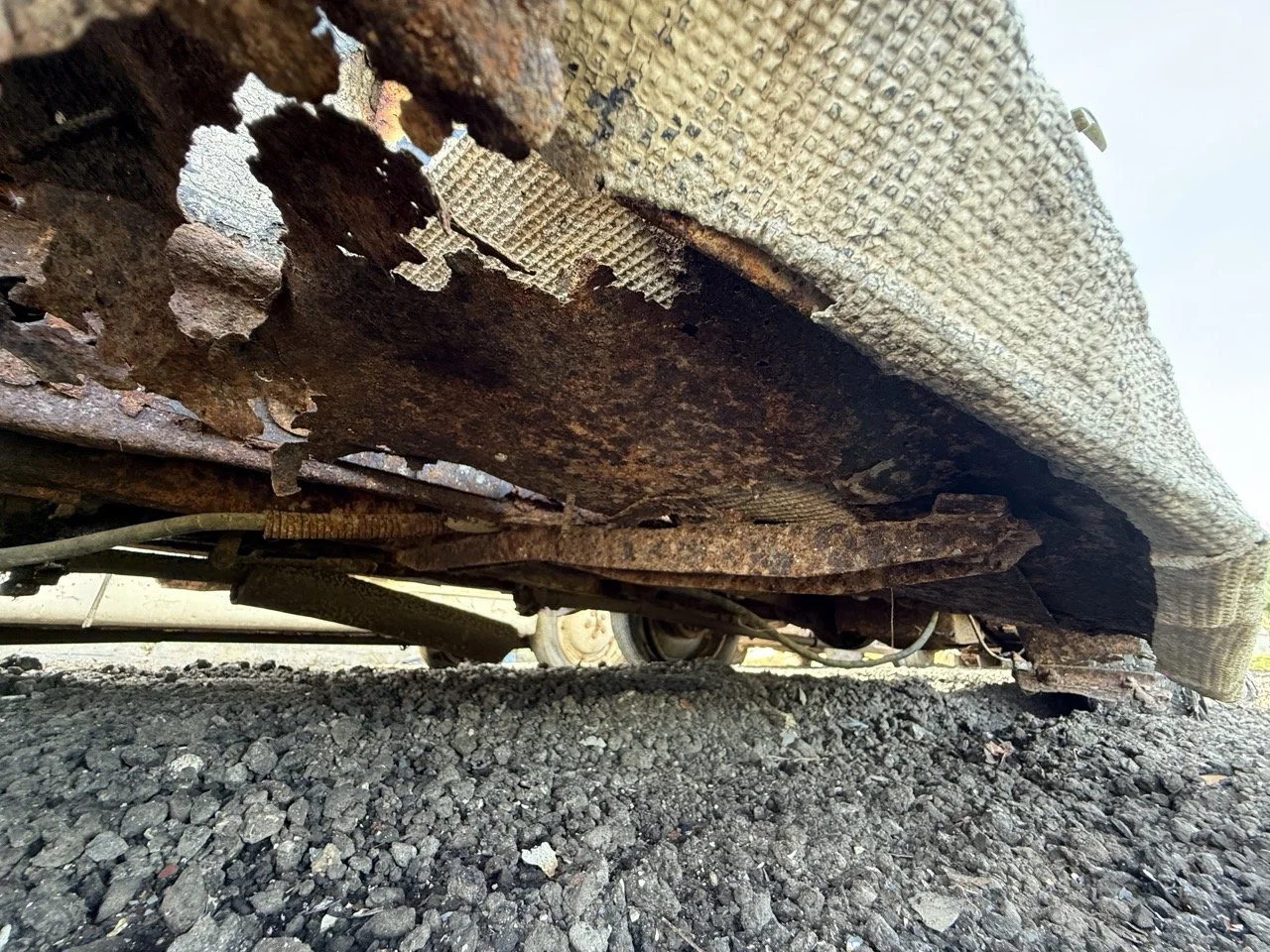 IMG_0379 – grande.jpeg