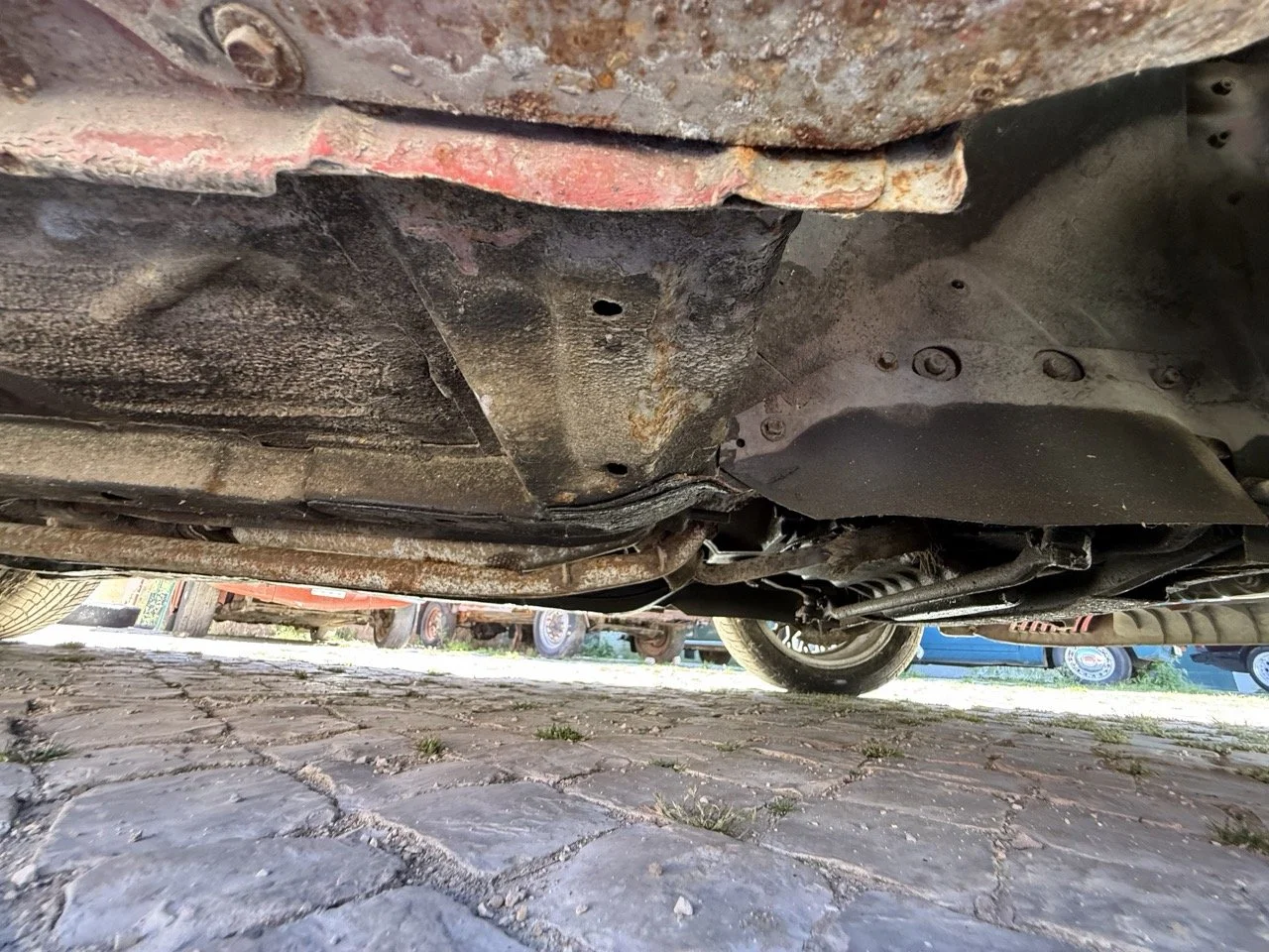 IMG_2110 – grande.jpeg