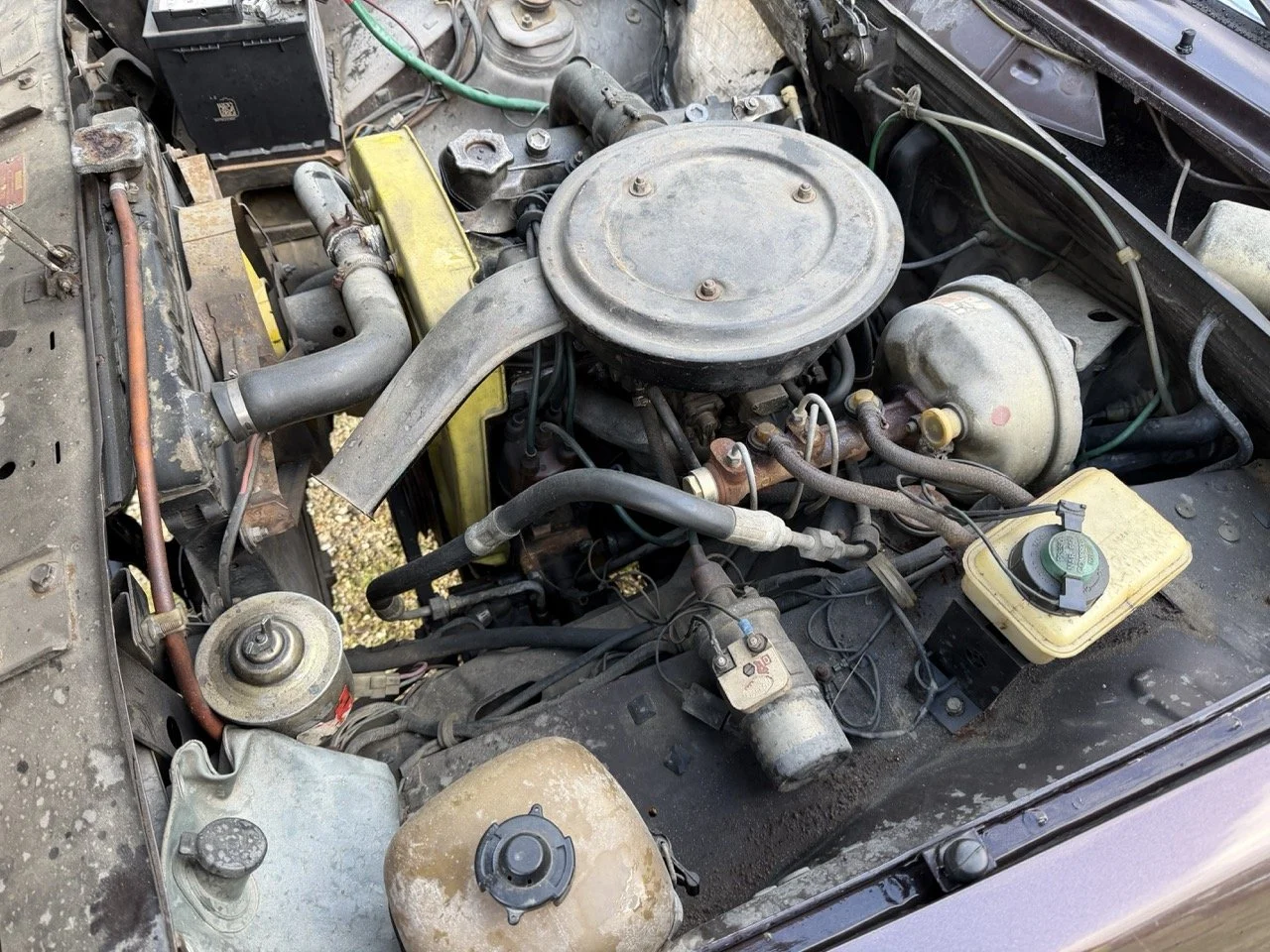 IMG_5278 – grande.jpeg