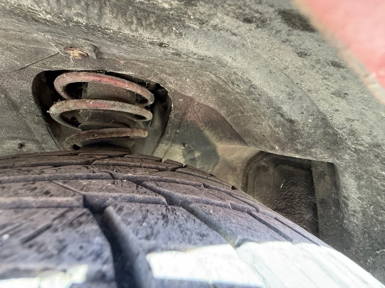 IMG_2114 – grande.jpeg