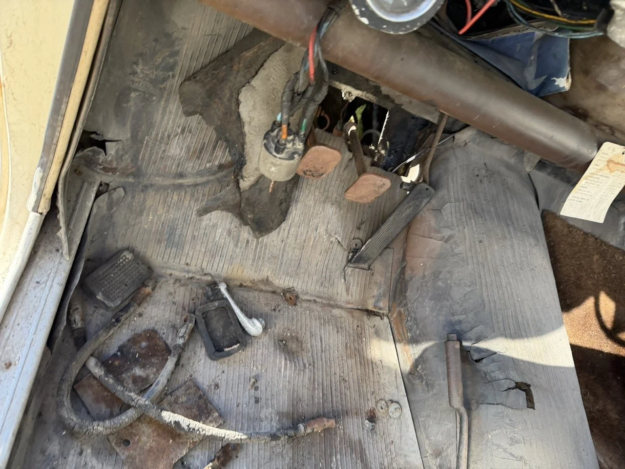 IMG_2520 – grande.jpeg