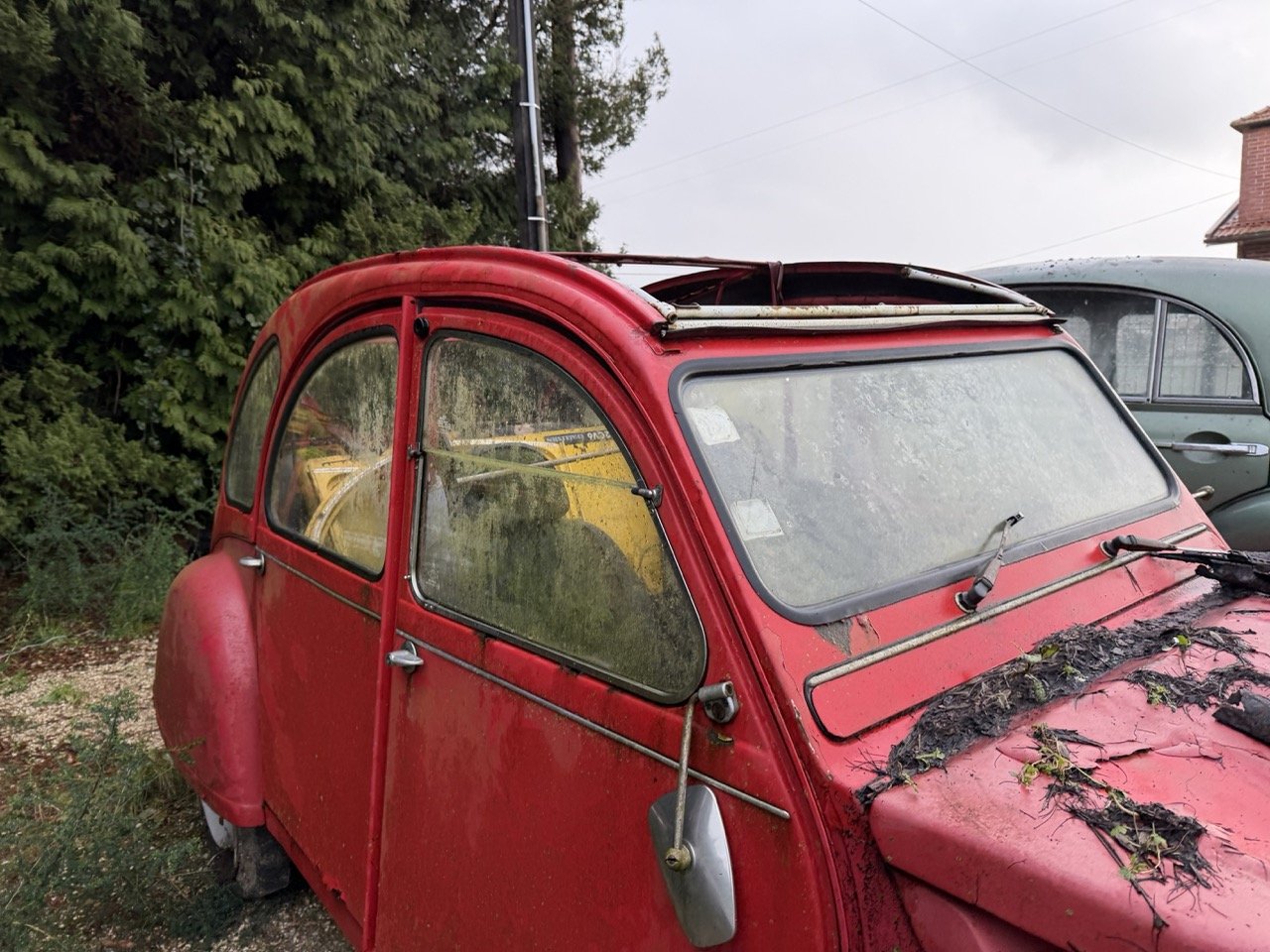 IMG_5498 – grande.jpeg