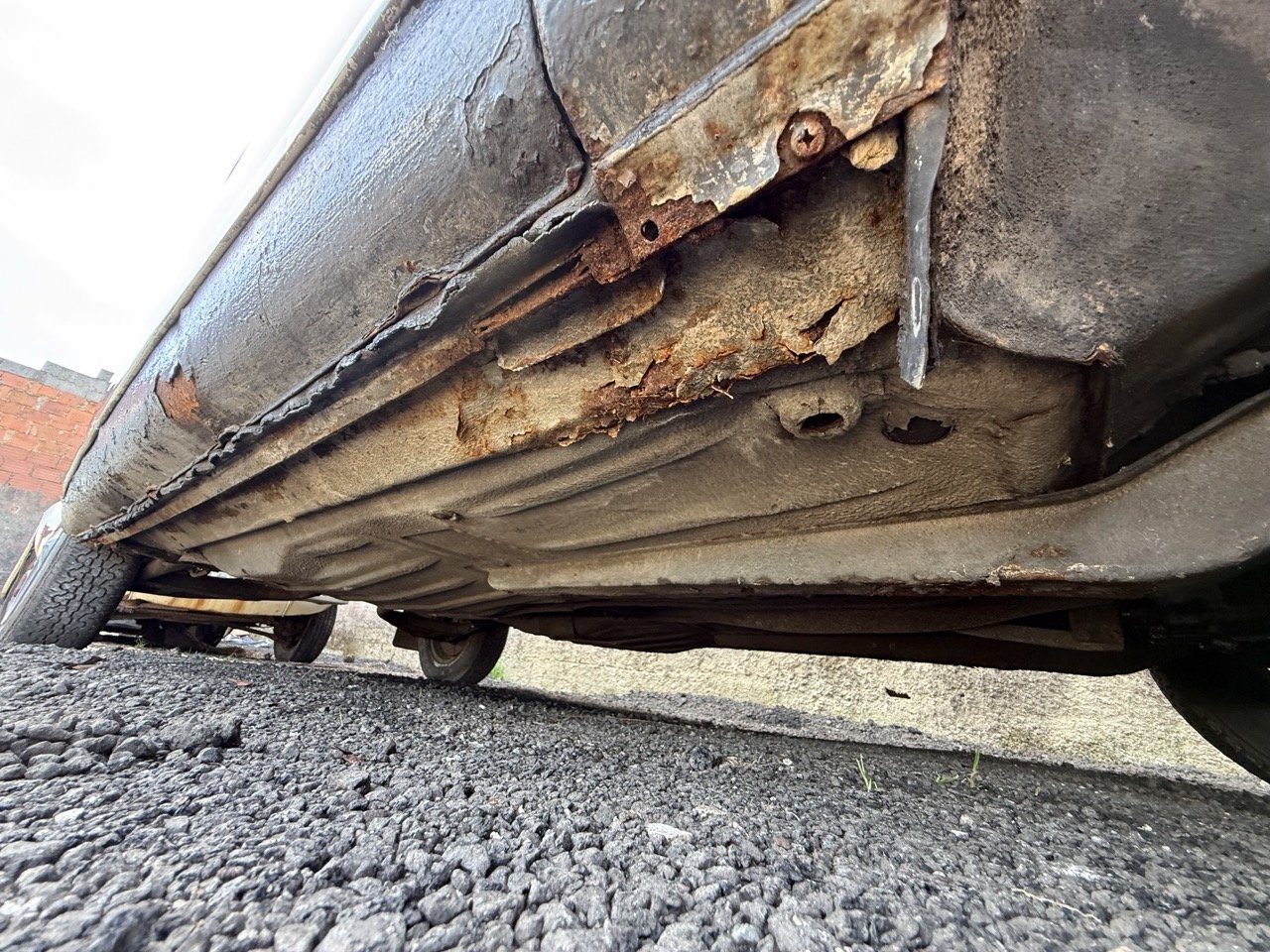 IMG_0629 – grande.jpeg