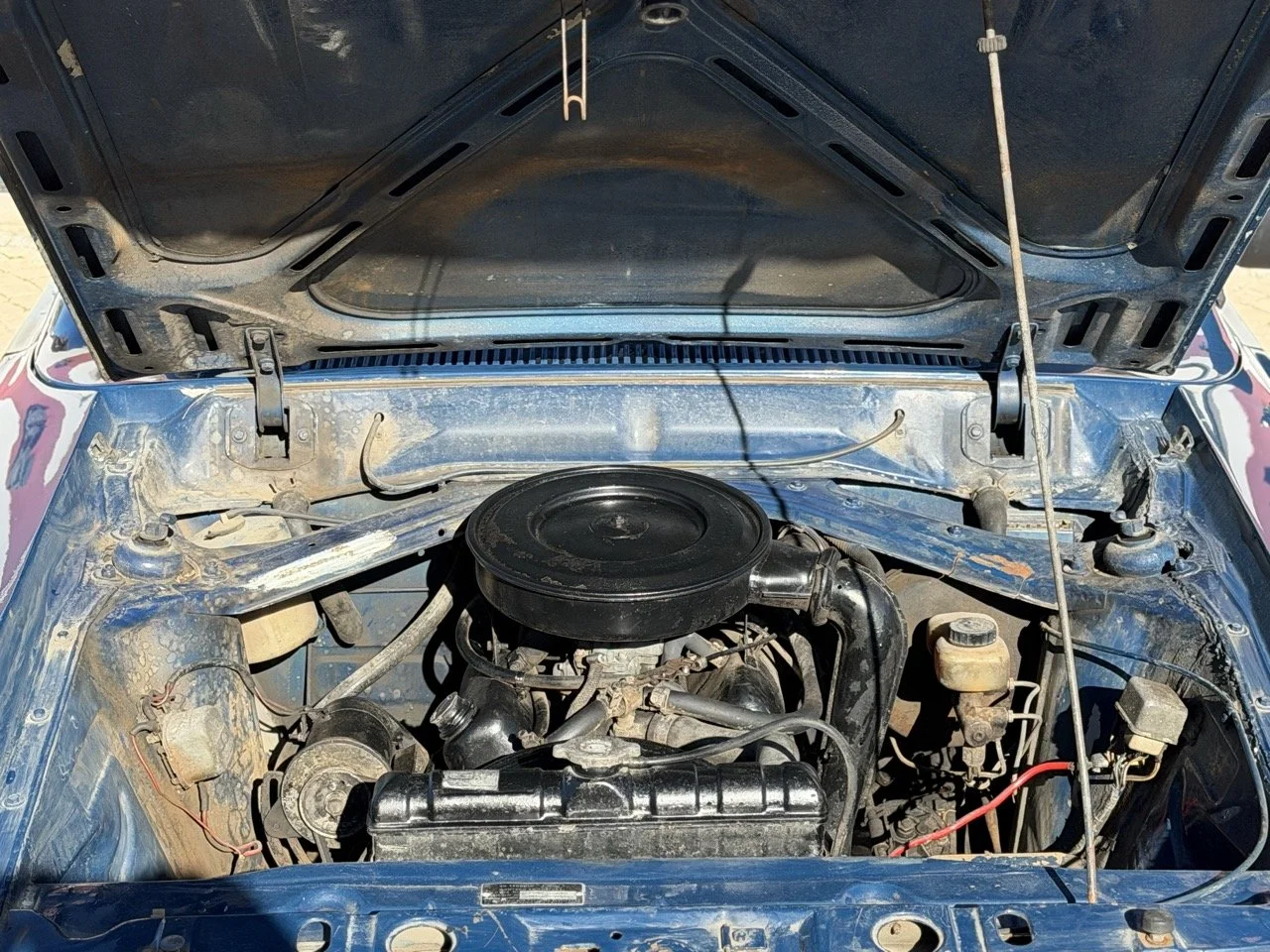 IMG_1842 – grande.jpeg