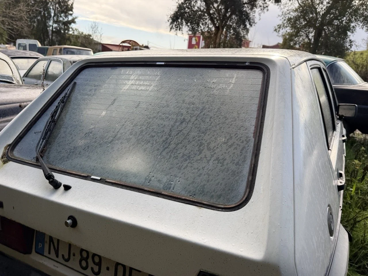 IMG_5194 – grande.jpeg