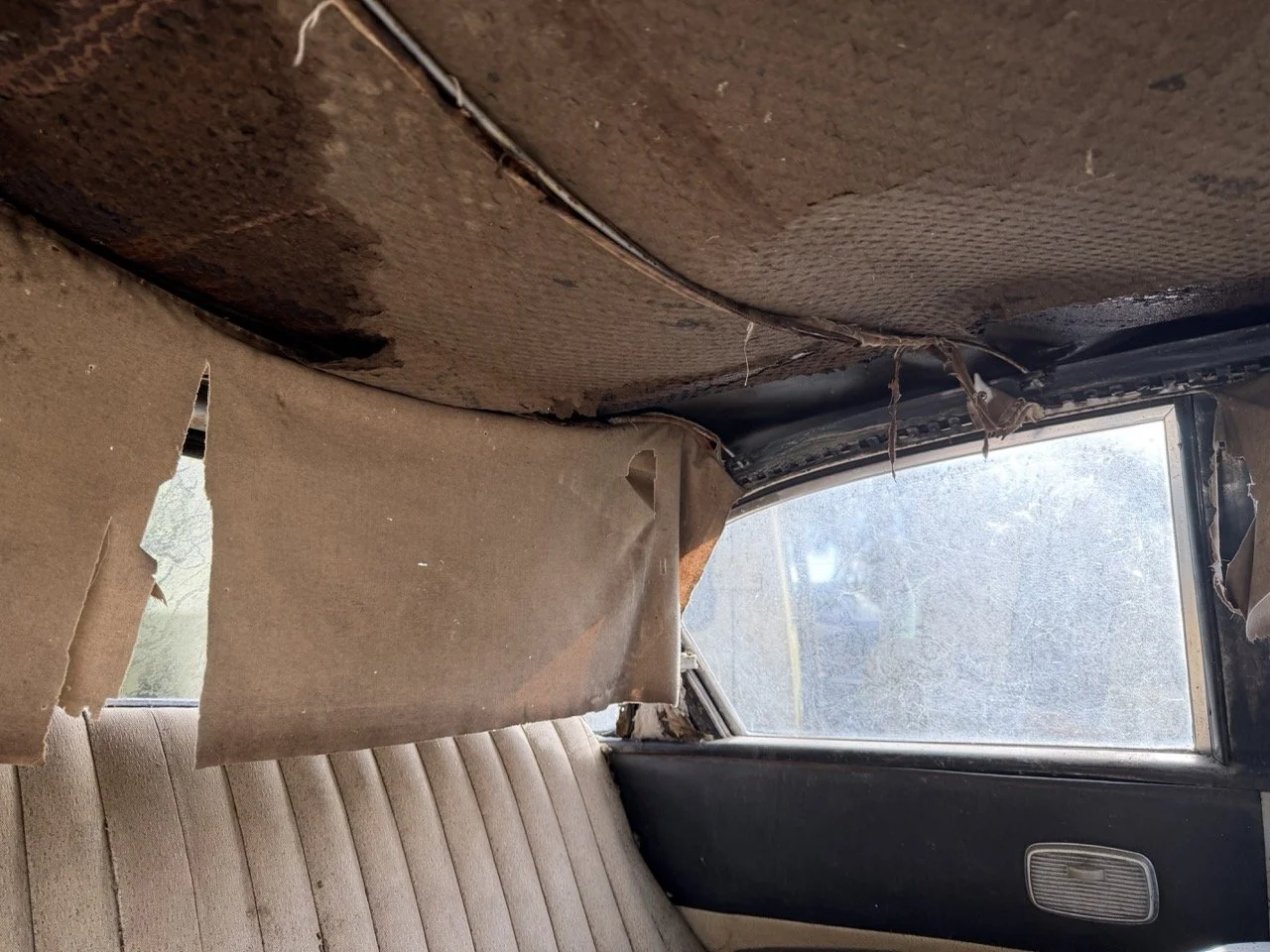 IMG_5064 – grande.jpeg