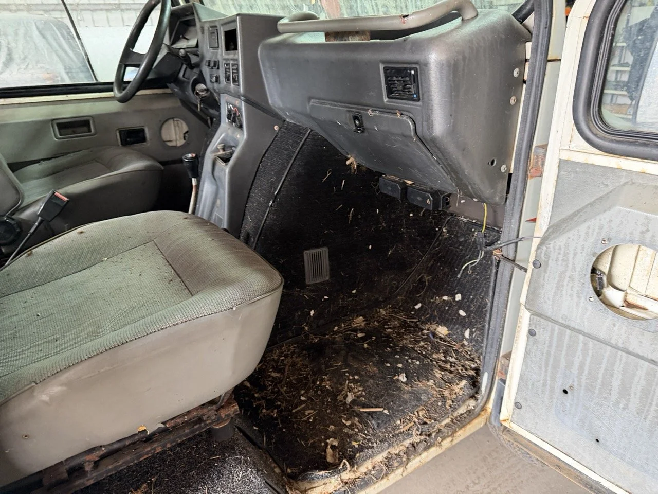 IMG_5196 – grande.jpeg