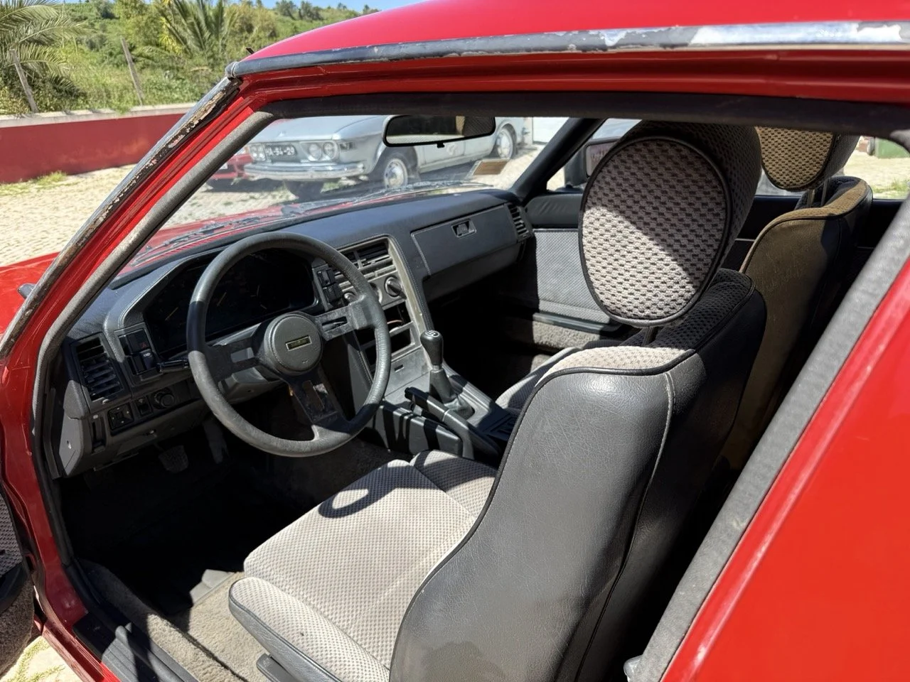 IMG_2029 – grande.jpeg