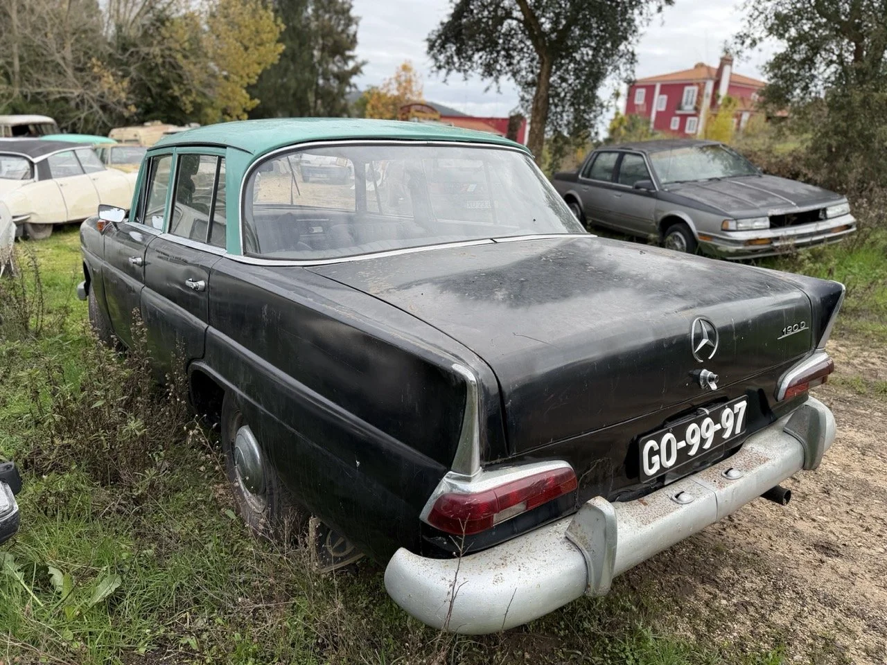 IMG_5022 – grande.jpeg