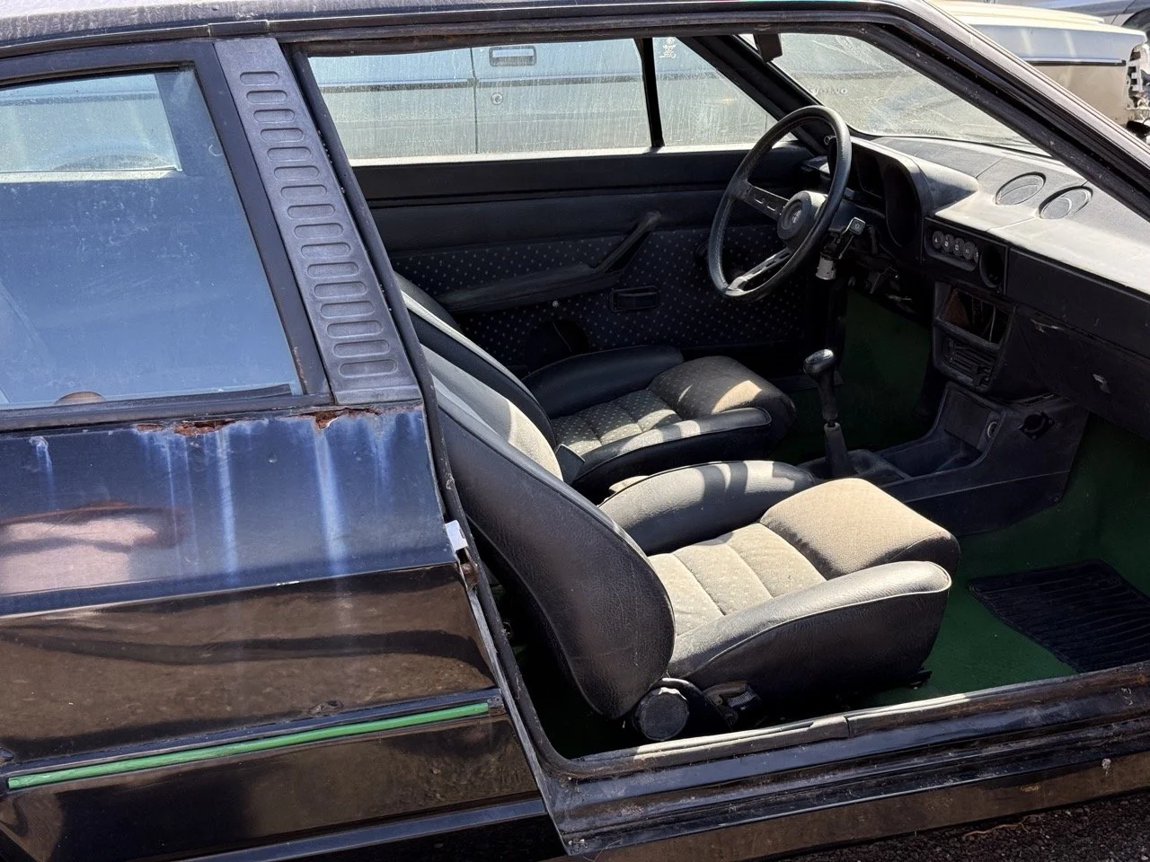 IMG_2901 – grande.jpeg