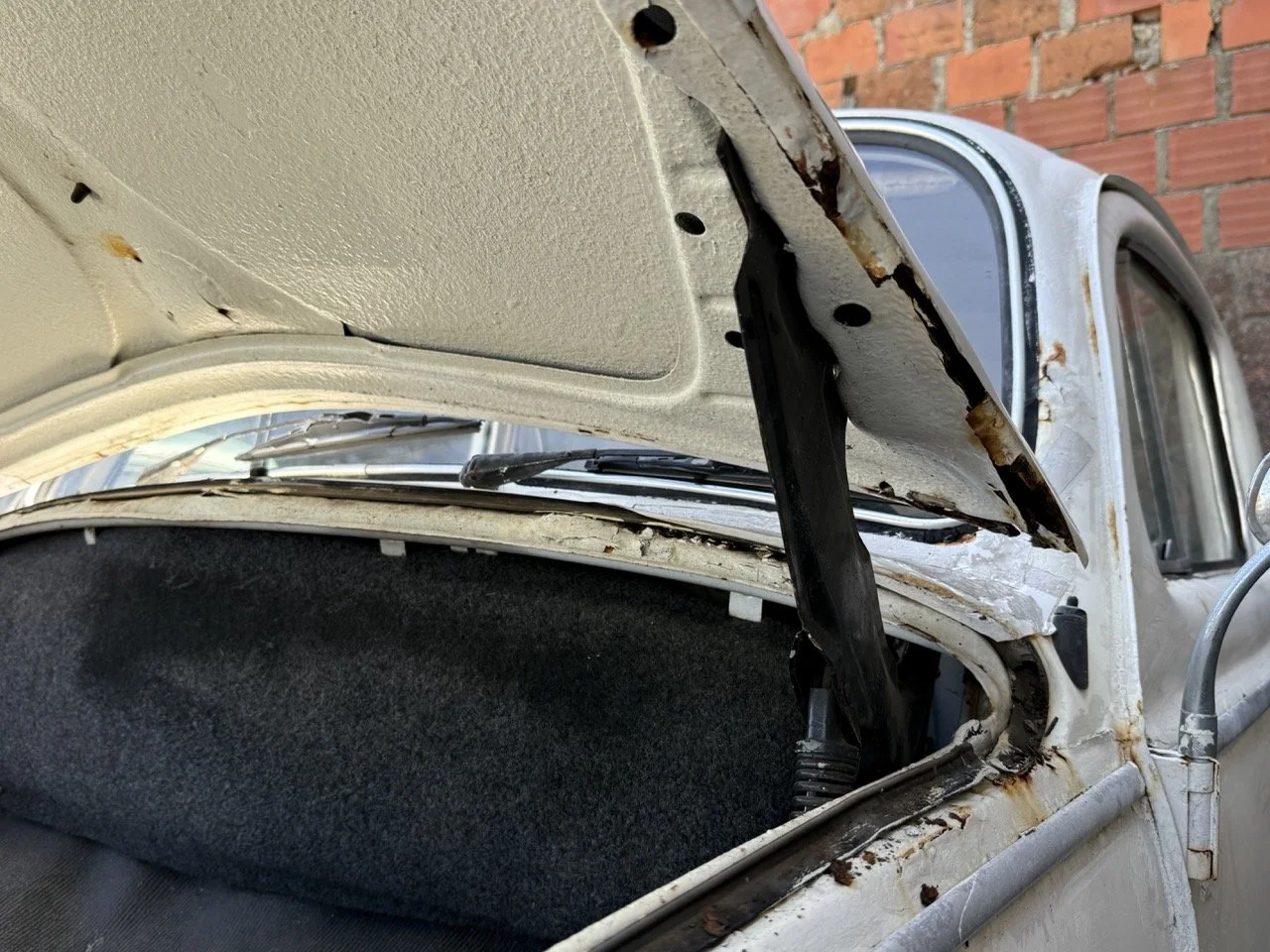 IMG_0710 – grande.jpeg