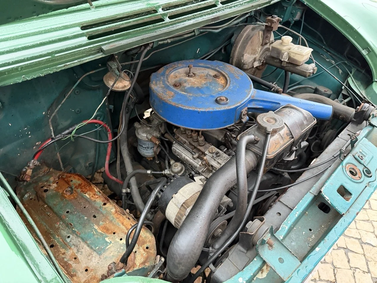 IMG_9953 – grande.jpeg