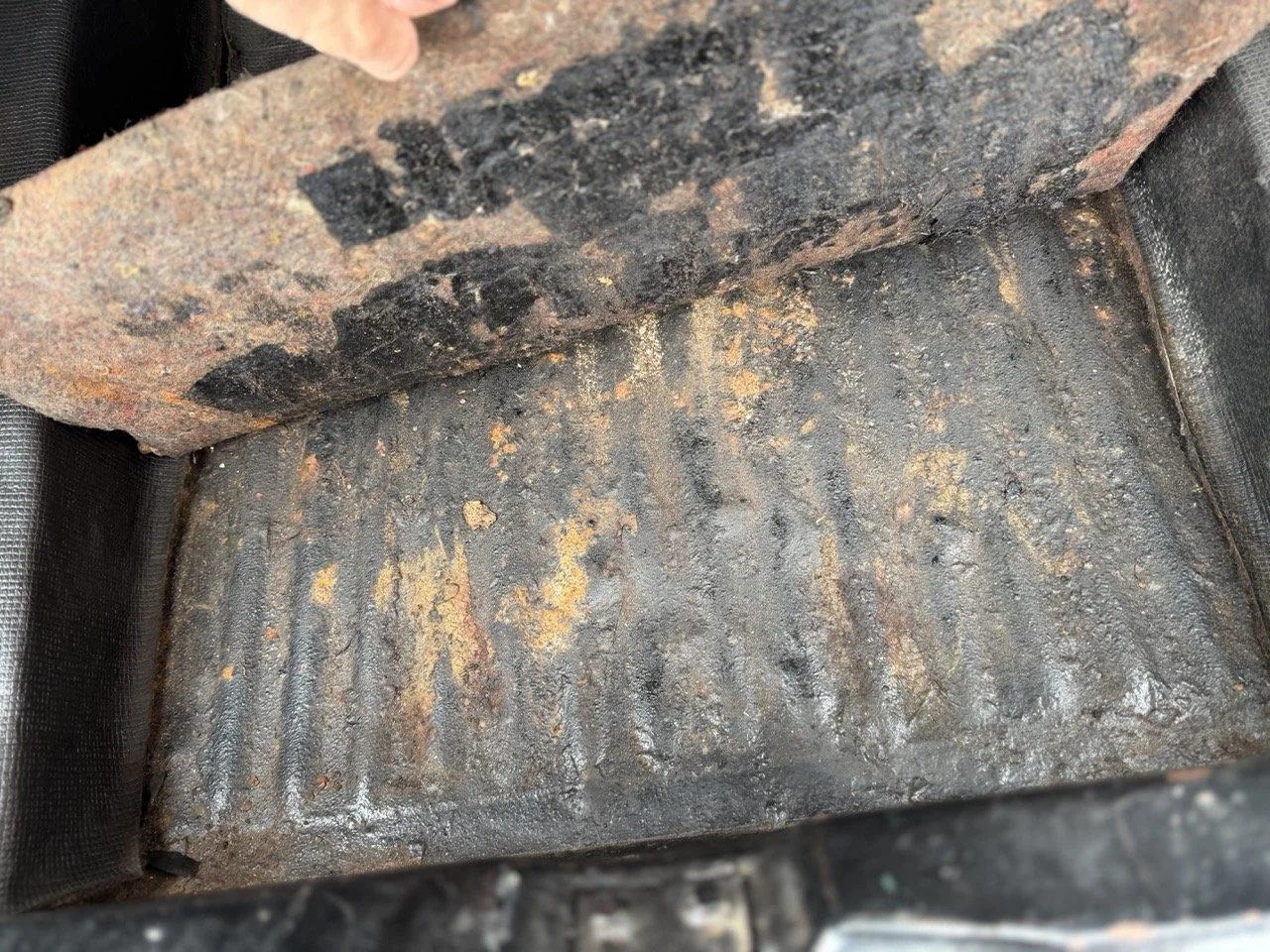 IMG_3711 – grande.jpeg