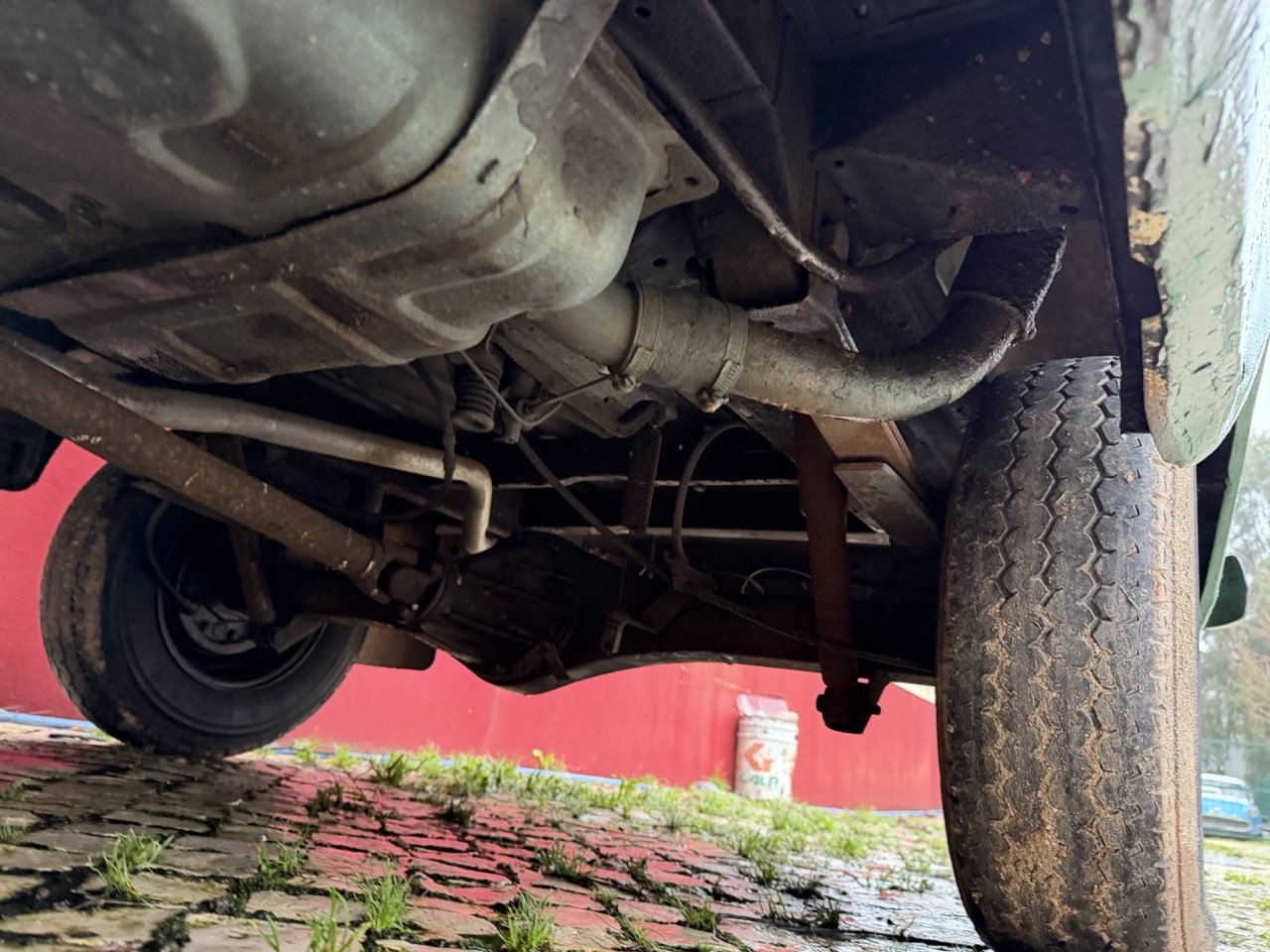 IMG_9978 – grande.jpeg