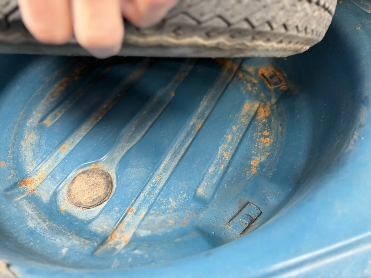 IMG_6387 – grande.jpeg