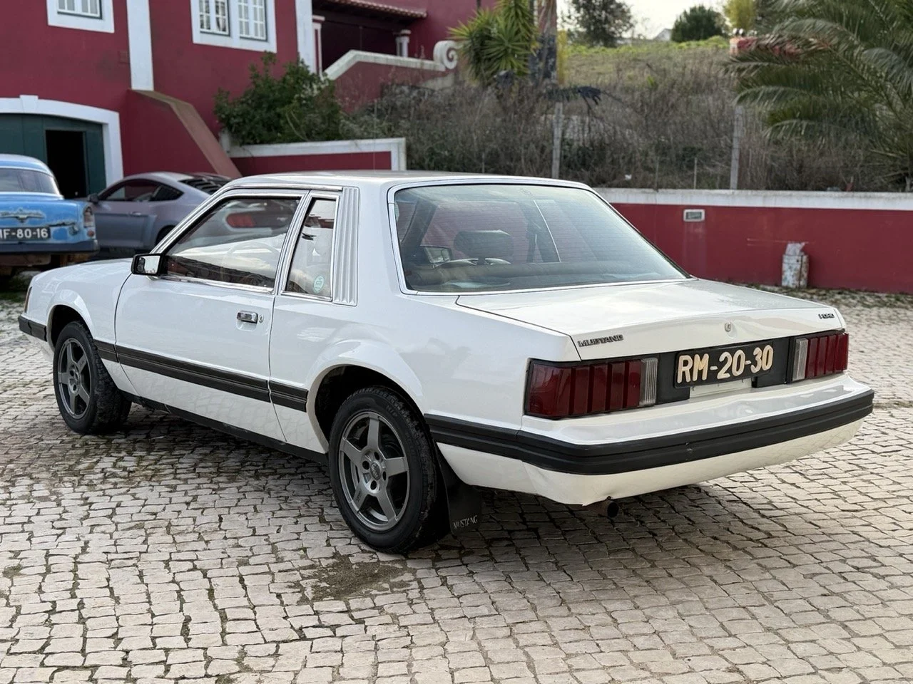 IMG_4152 – grande.jpeg