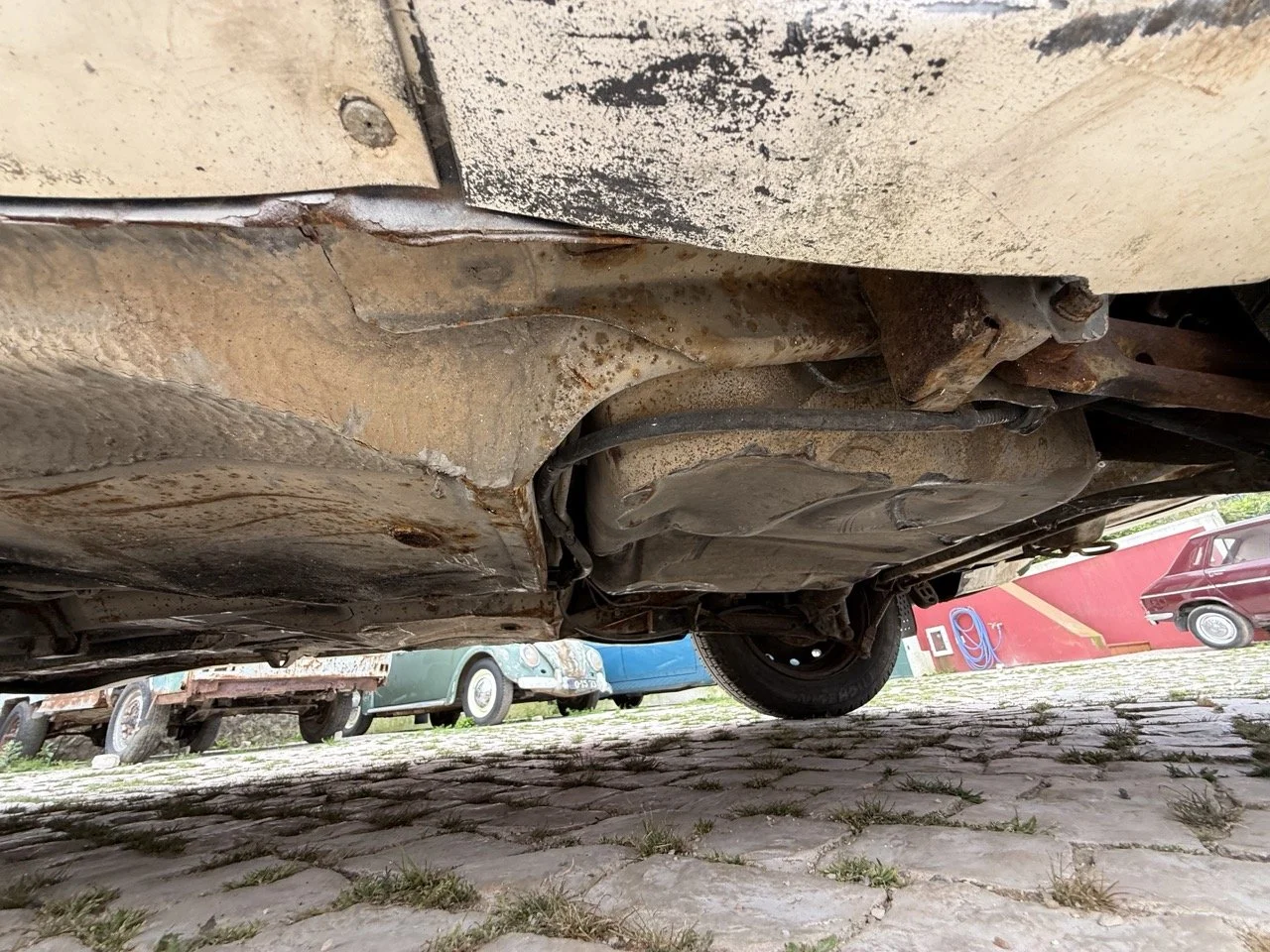 IMG_8632 – grande.jpeg