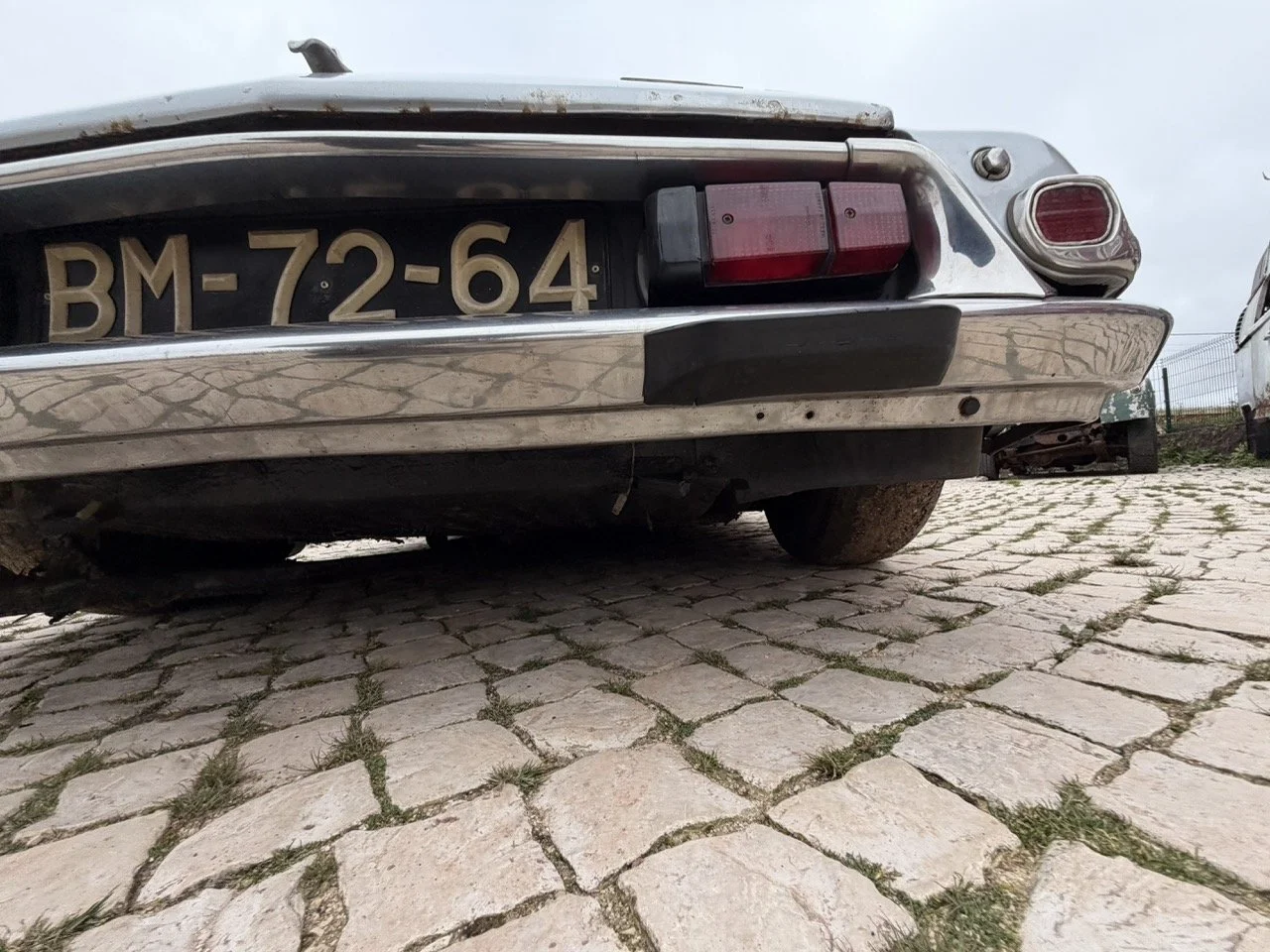 IMG_3781 – grande.jpeg