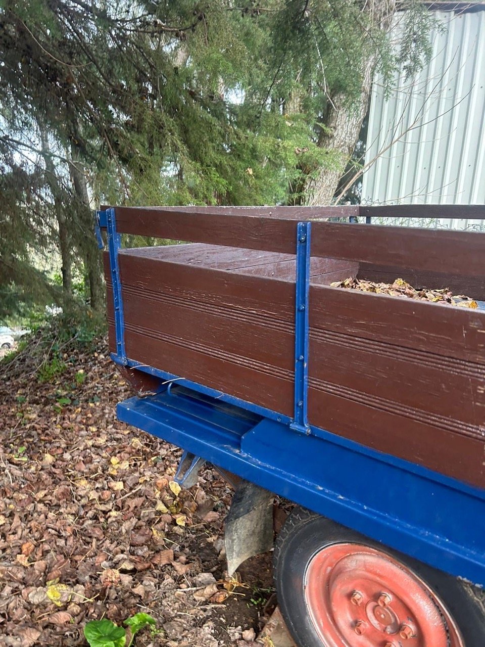 d7e363bf-37a3-4d4d-88f2-b75d10e653ac – grande.jpeg