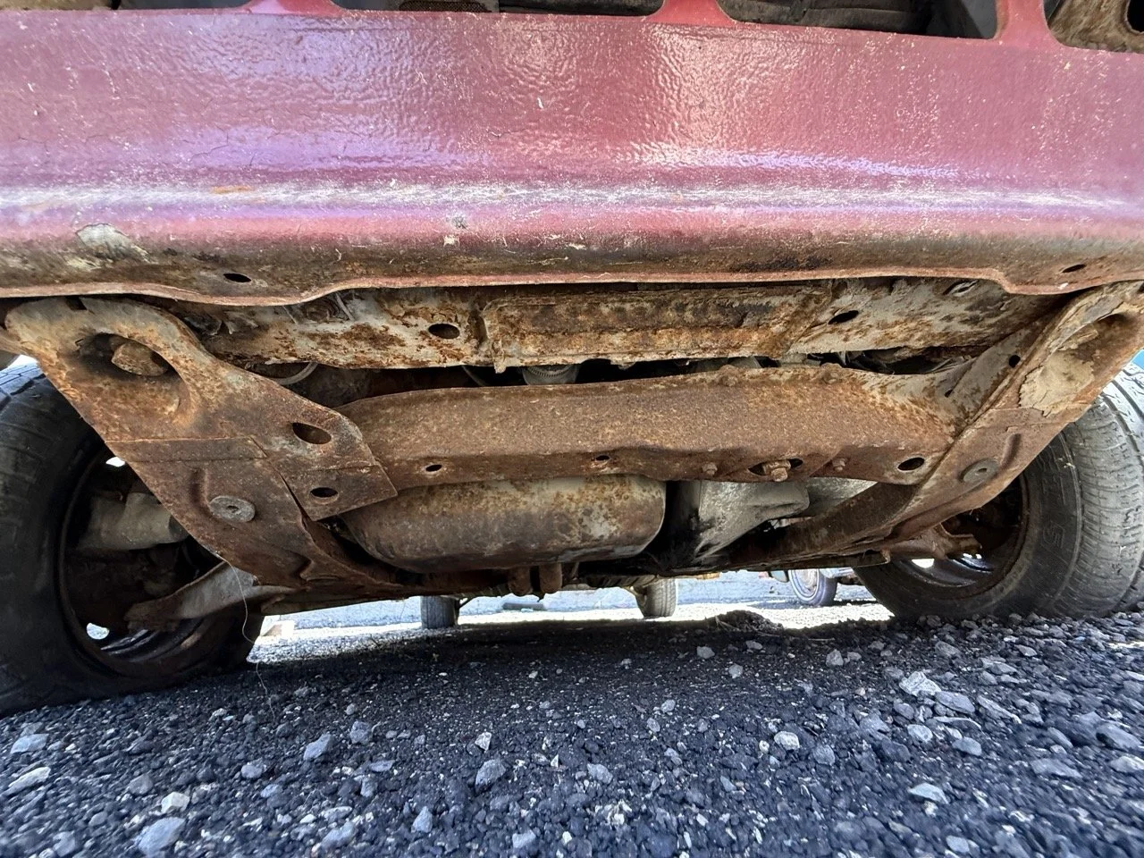 IMG_0976 – grande.jpeg