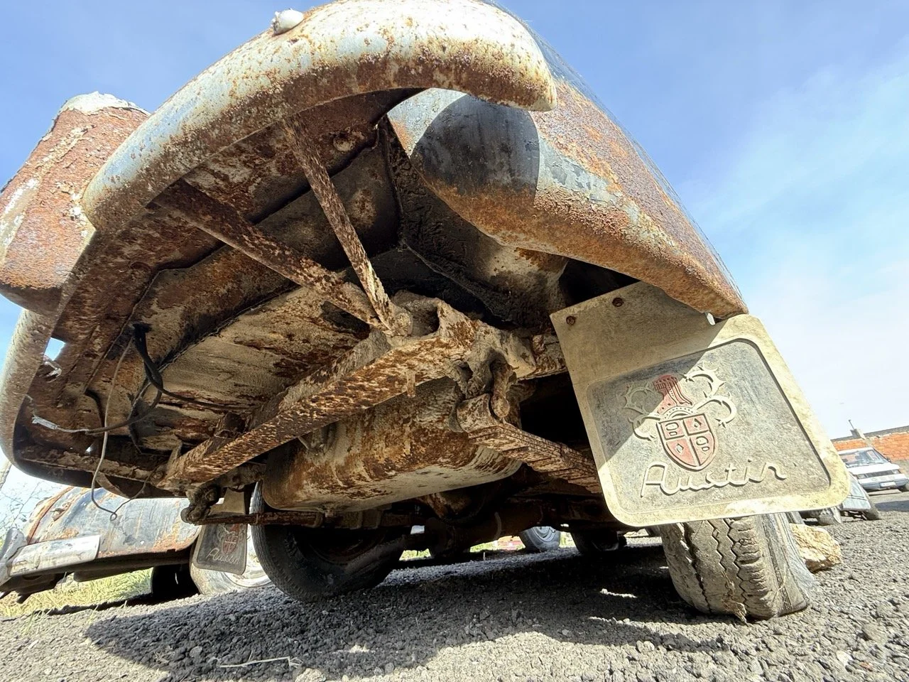 IMG_0452 – grande.jpeg