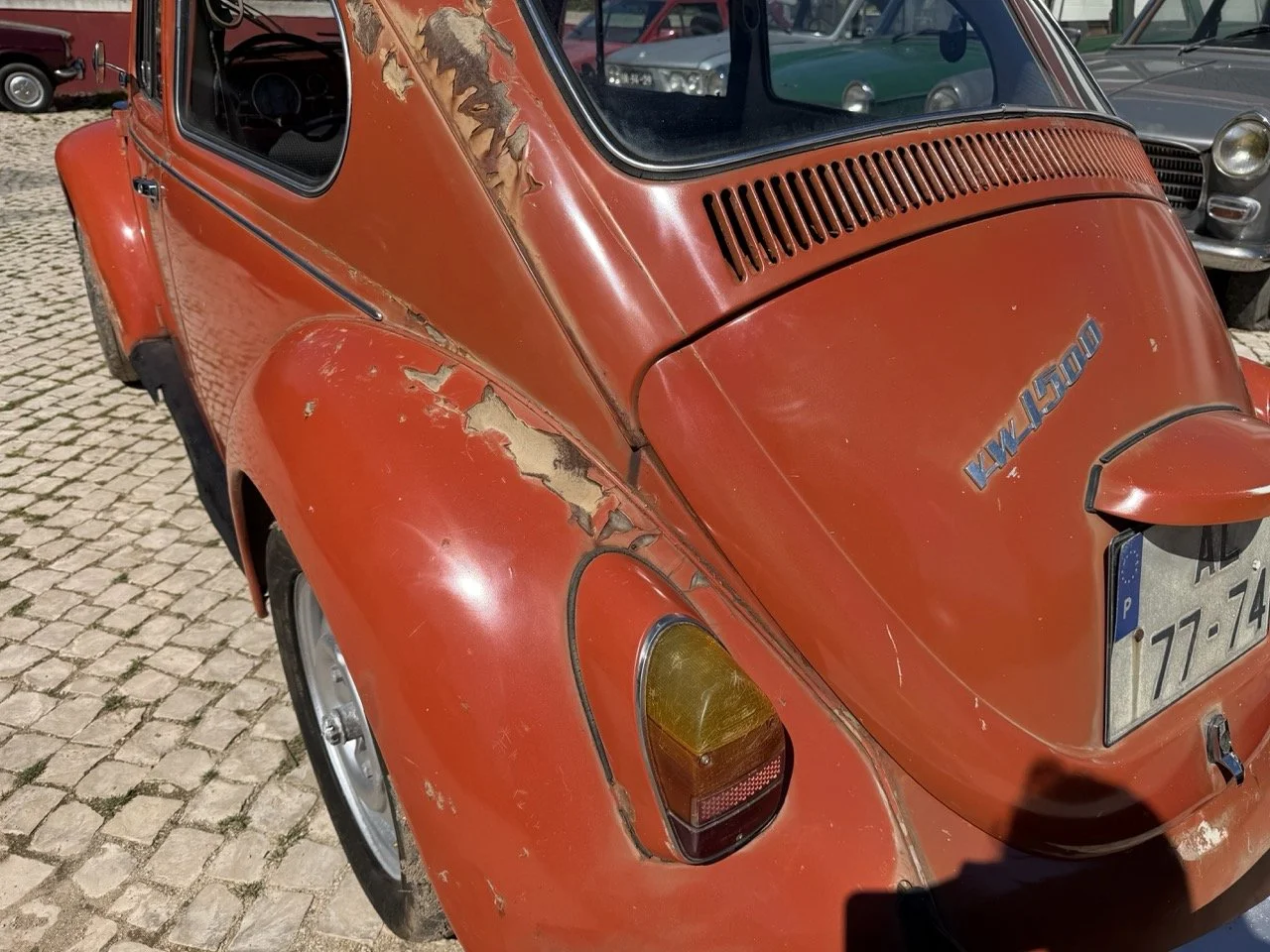 IMG_7580 – grande.jpeg