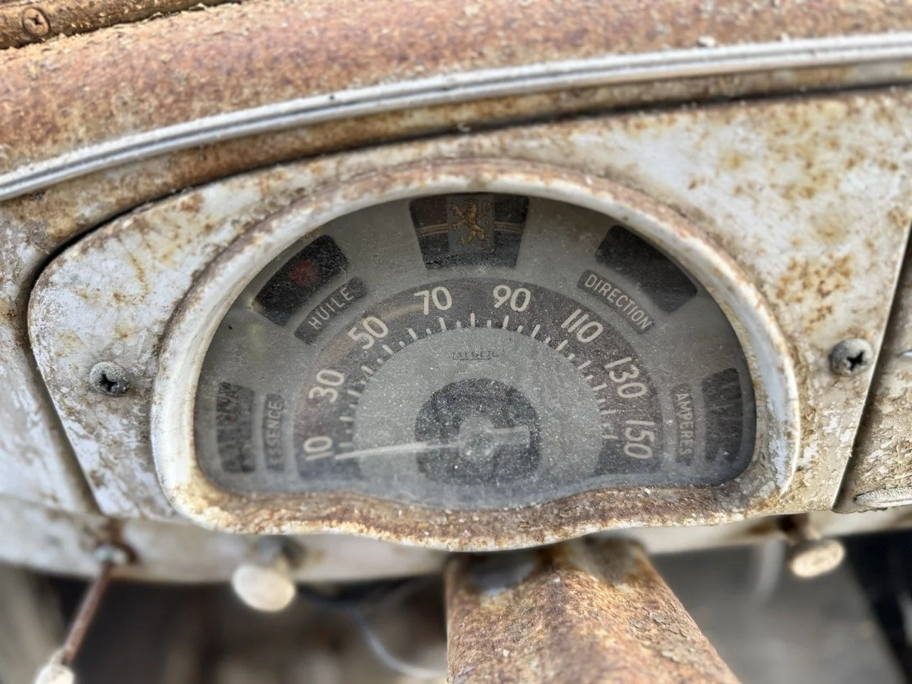 IMG_0401 – grande.jpeg