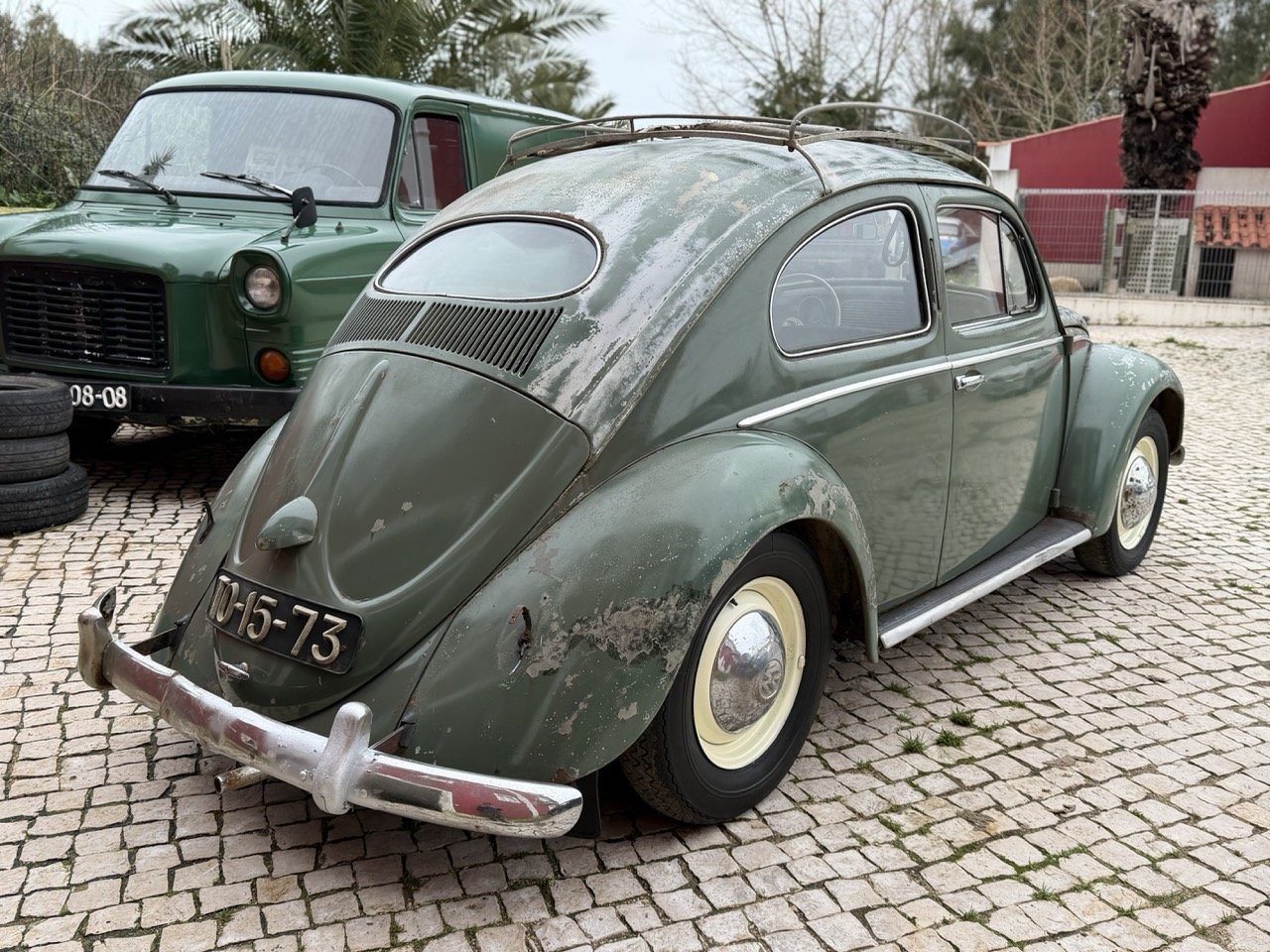 IMG_1107 – grande.jpeg