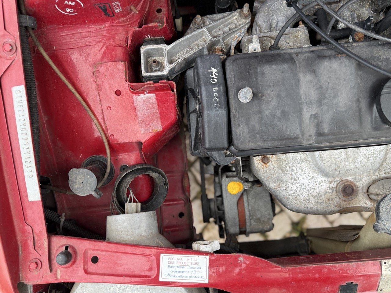 IMG_0440 – grande.jpeg