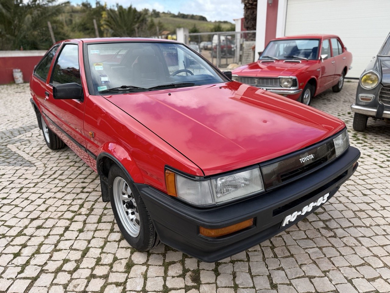 IMG_2409 – grande.jpeg