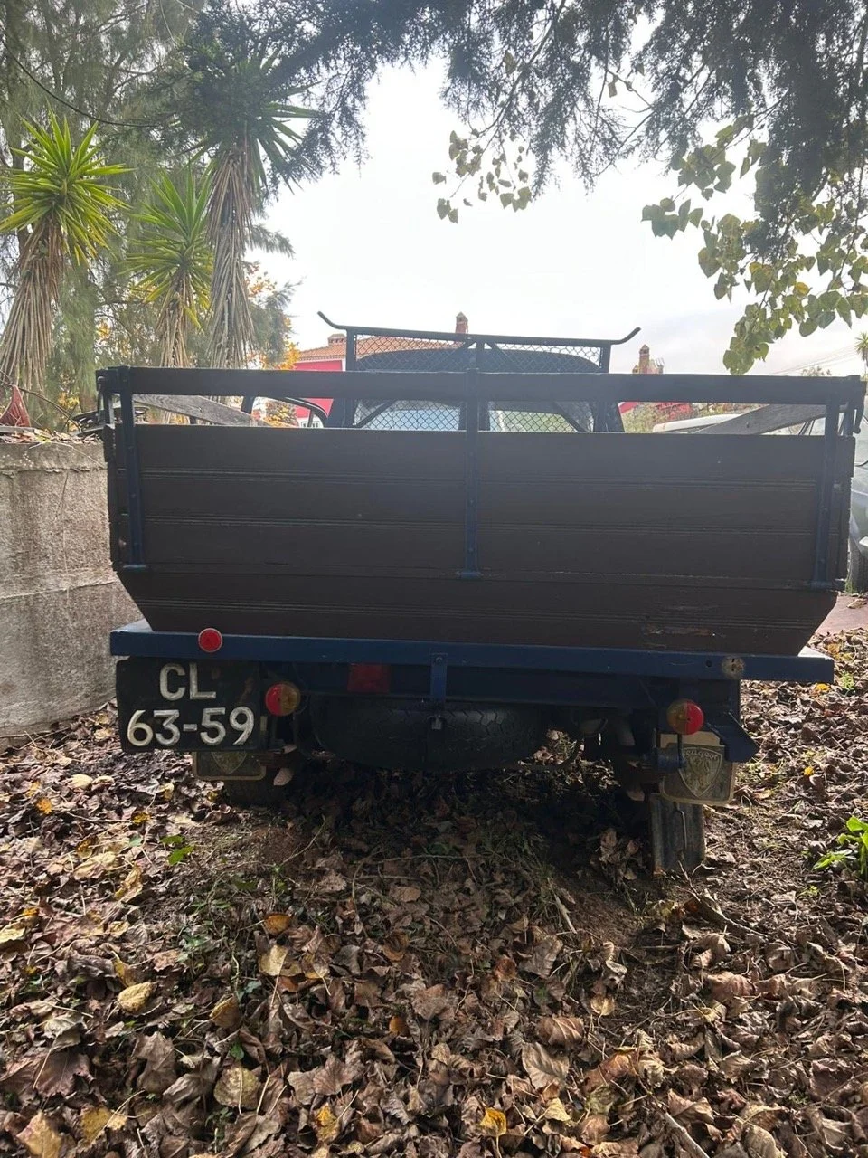 68e9ba18-3a2d-48a2-b158-f1f299c3aafc – grande.jpeg