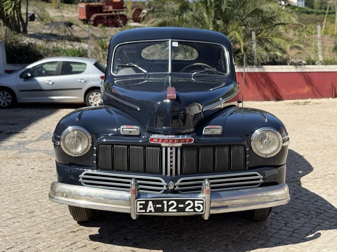IMG_7488 – grande.jpeg