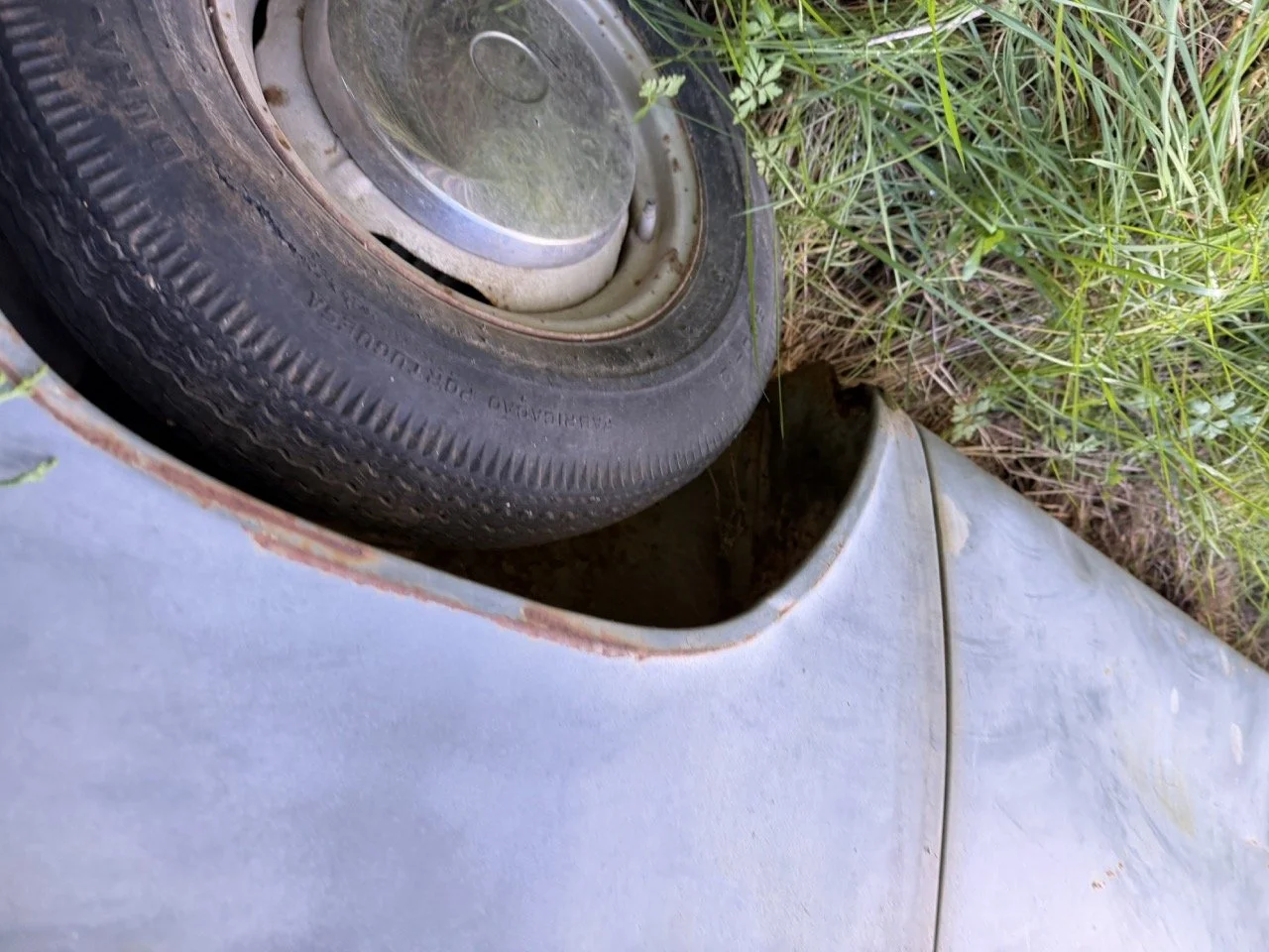 IMG_8560 – grande.jpeg