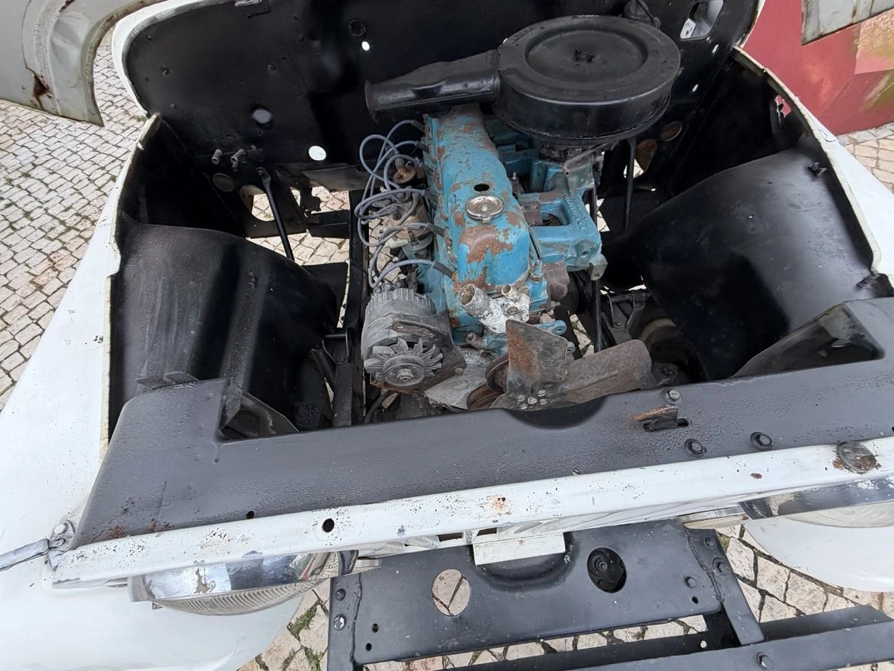 IMG_3950 – grande.jpeg