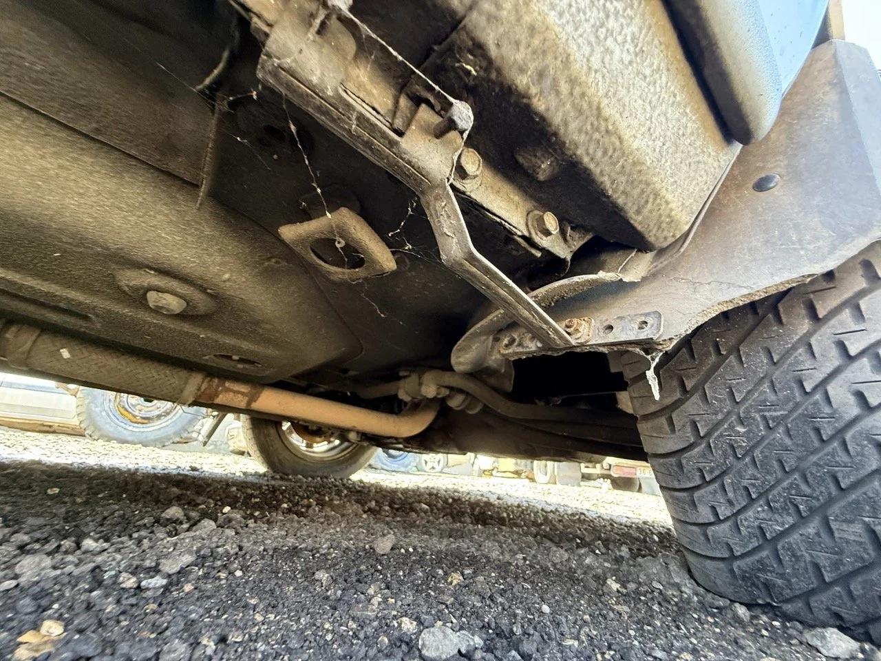 IMG_1960 – grande.jpeg