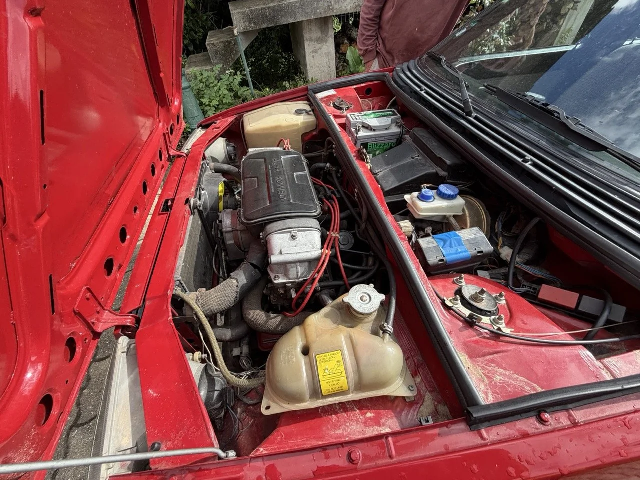 IMG_3251 – grande.jpeg