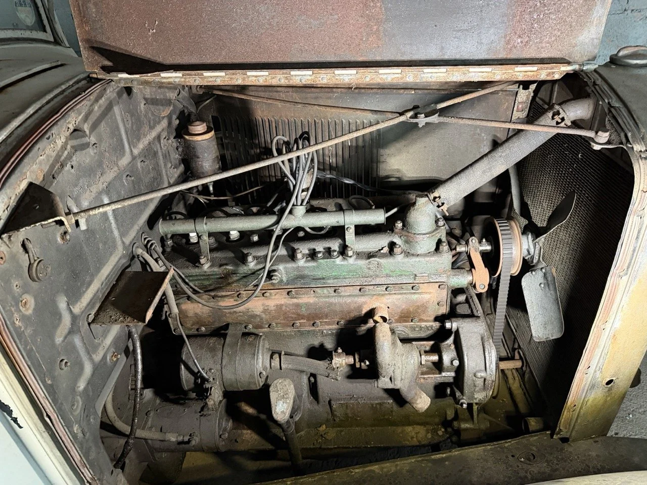 IMG_2444 – grande.jpeg