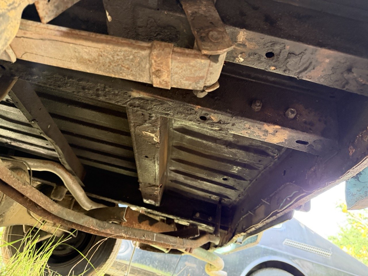 IMG_3911 – grande.jpeg