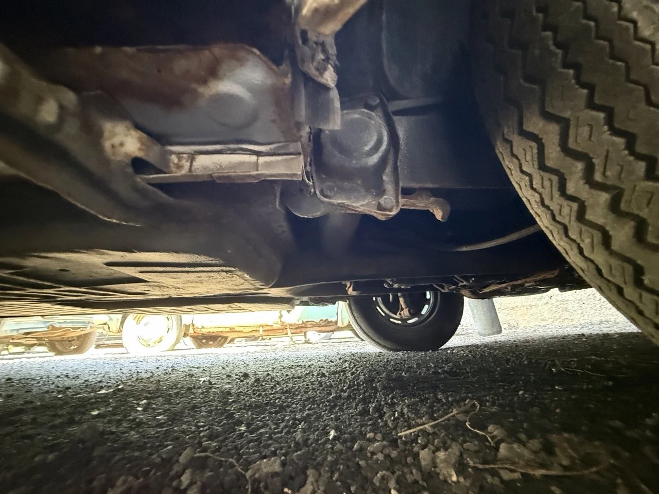 IMG_0719 – grande.jpeg